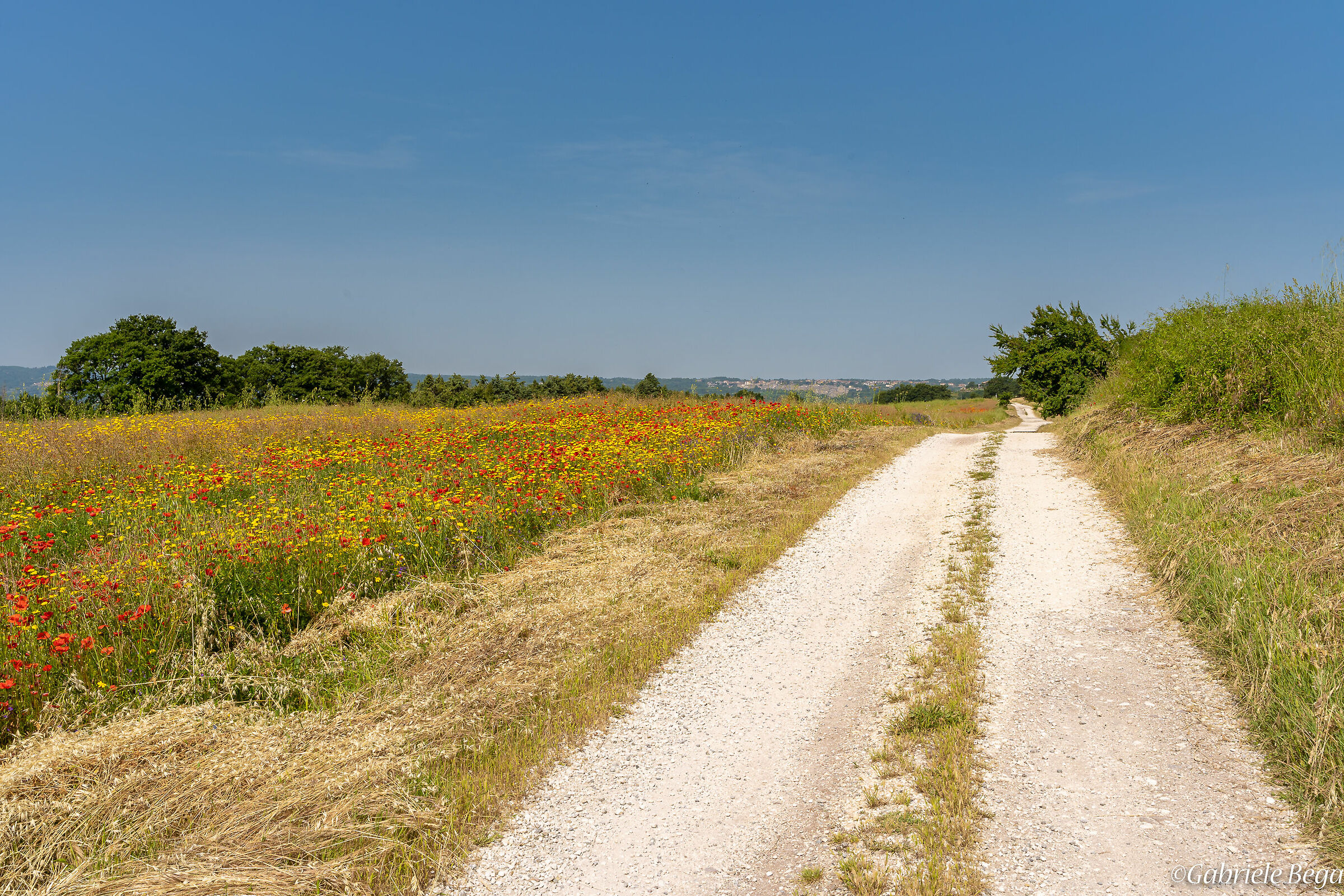 Percorrendo la via Francigena