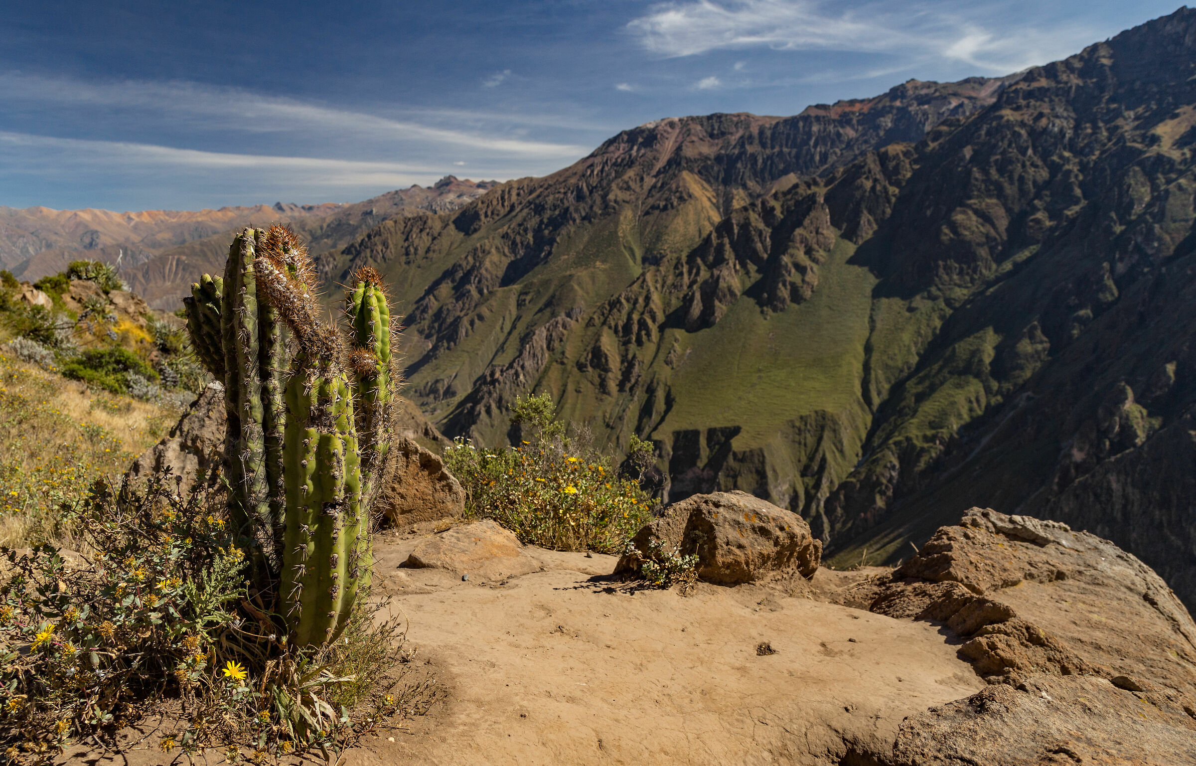 Colca Canyon View