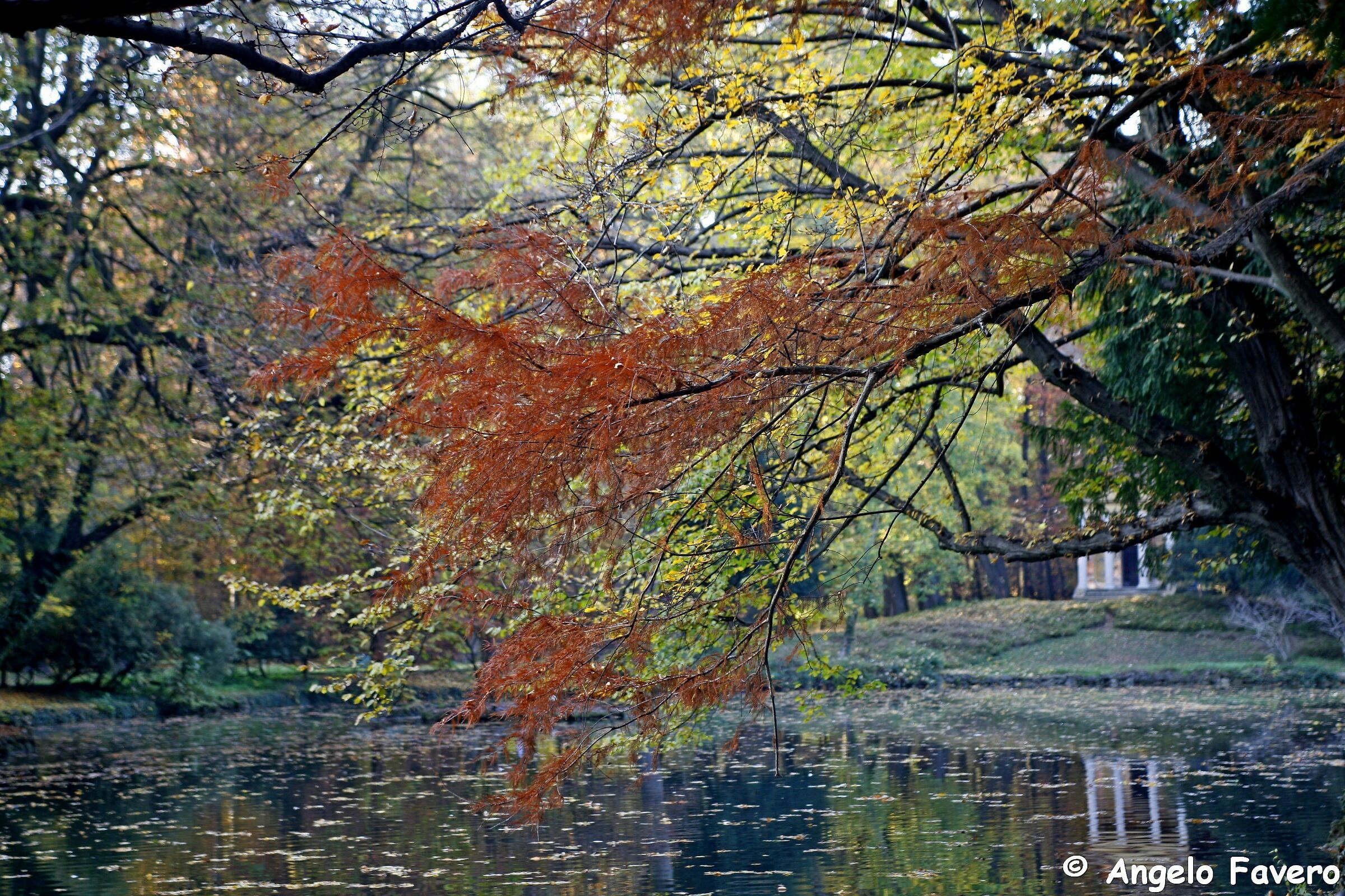 Laghetto giardini Villa Reale Monza