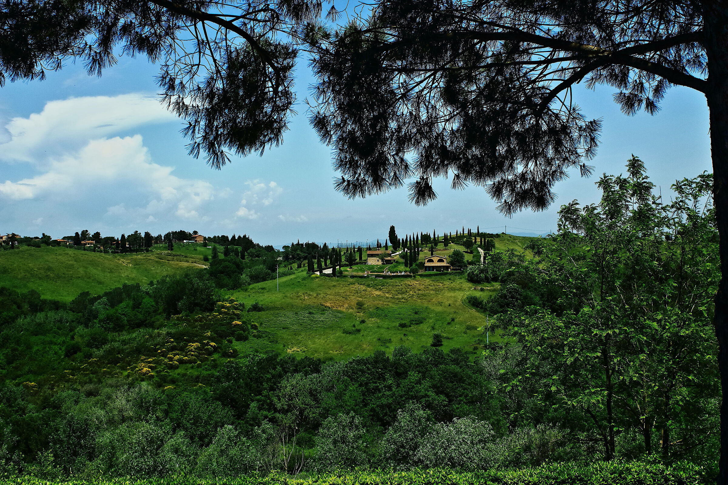 Pot - view of the Sienese hills