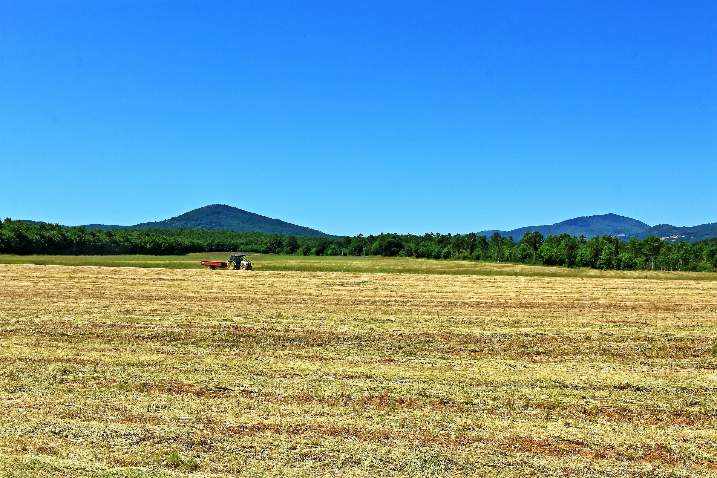 Pieve of St. John the Baptist and his campaign