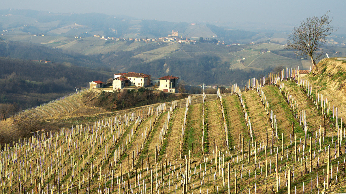 Langa, villages and farmhouses | 2