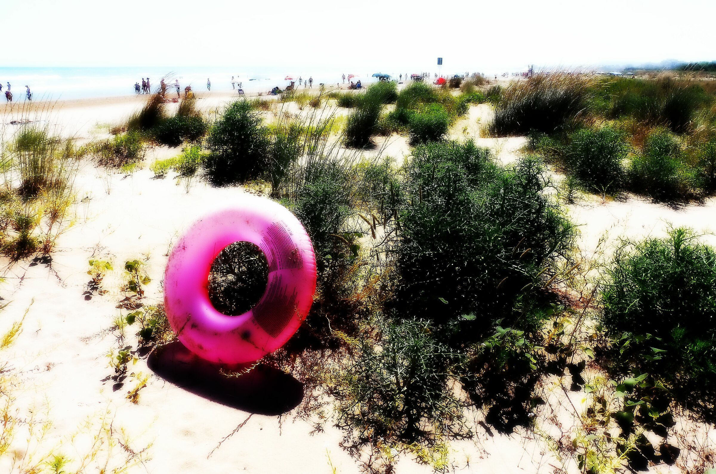 Non si sa chi, non si sa come...