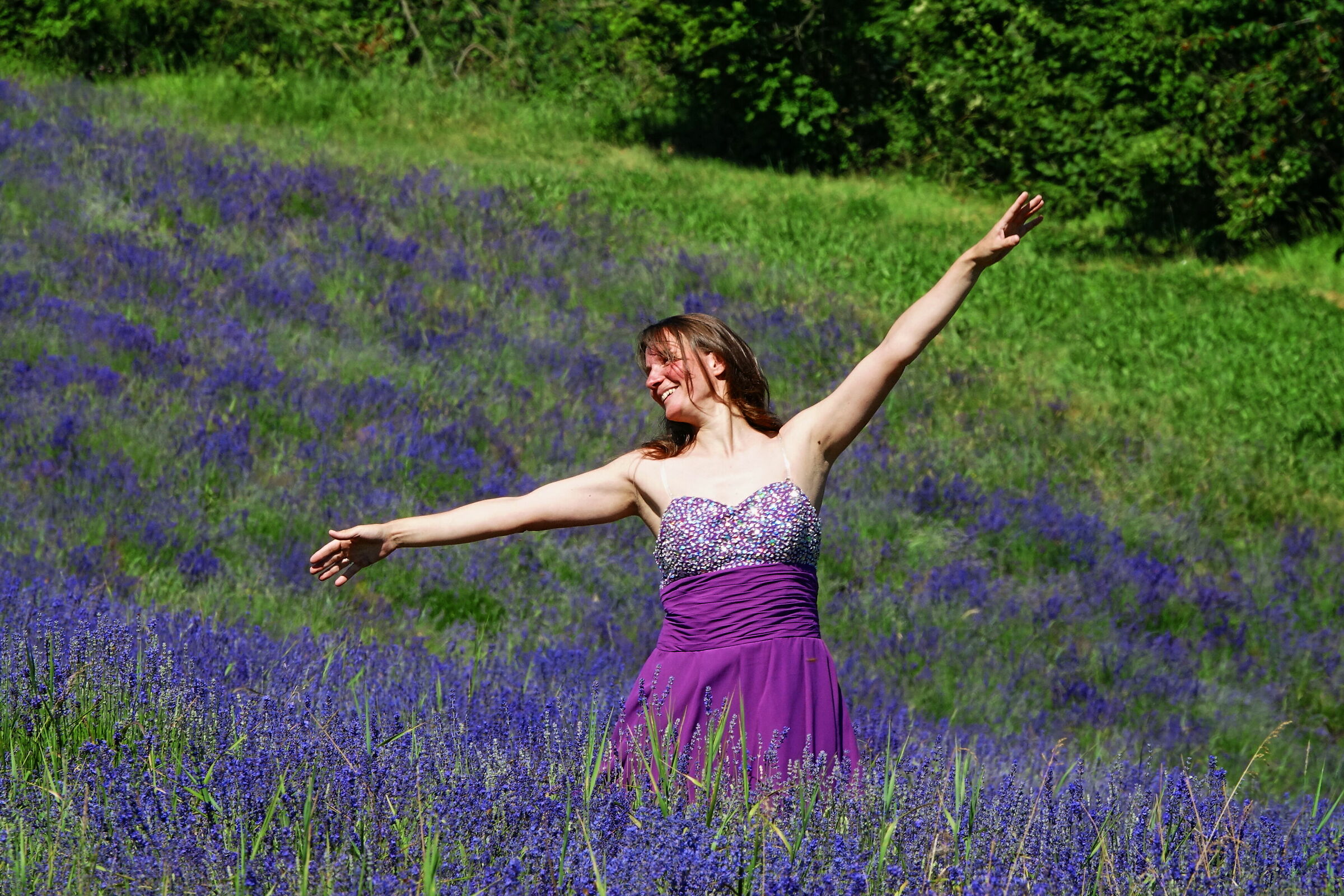 Summer Joy in Purple
