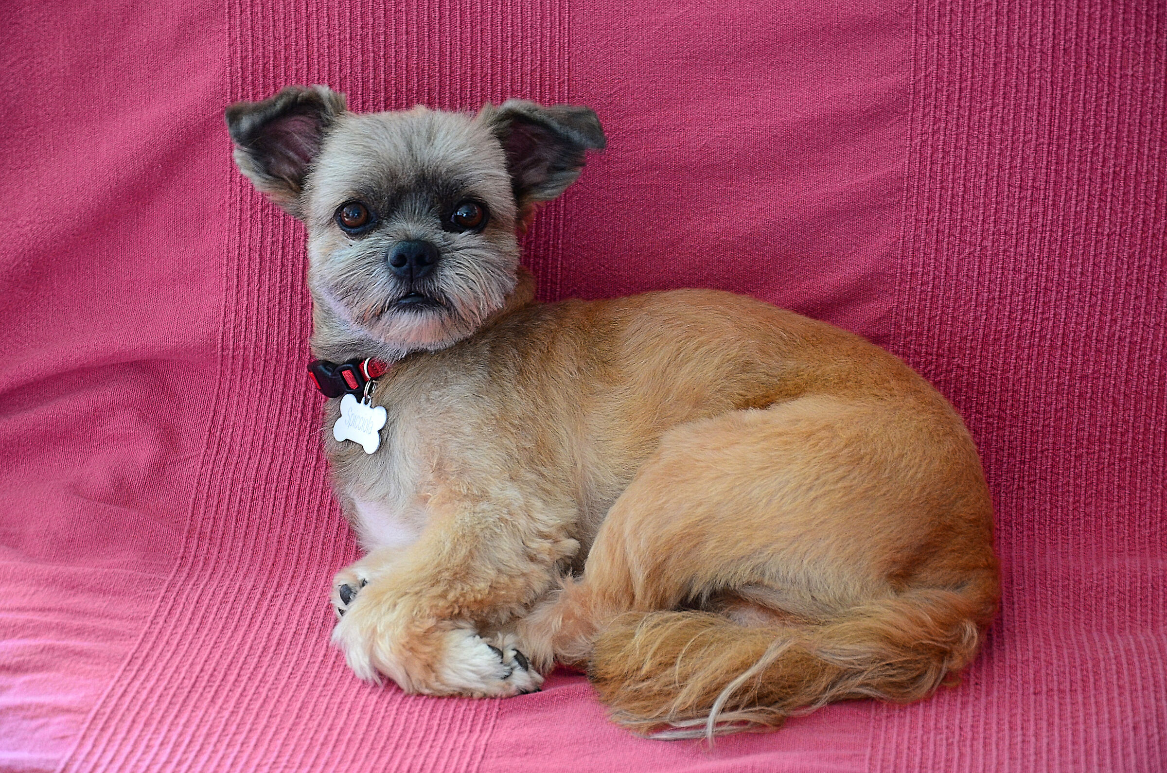 osop_AD_0253 on the couch