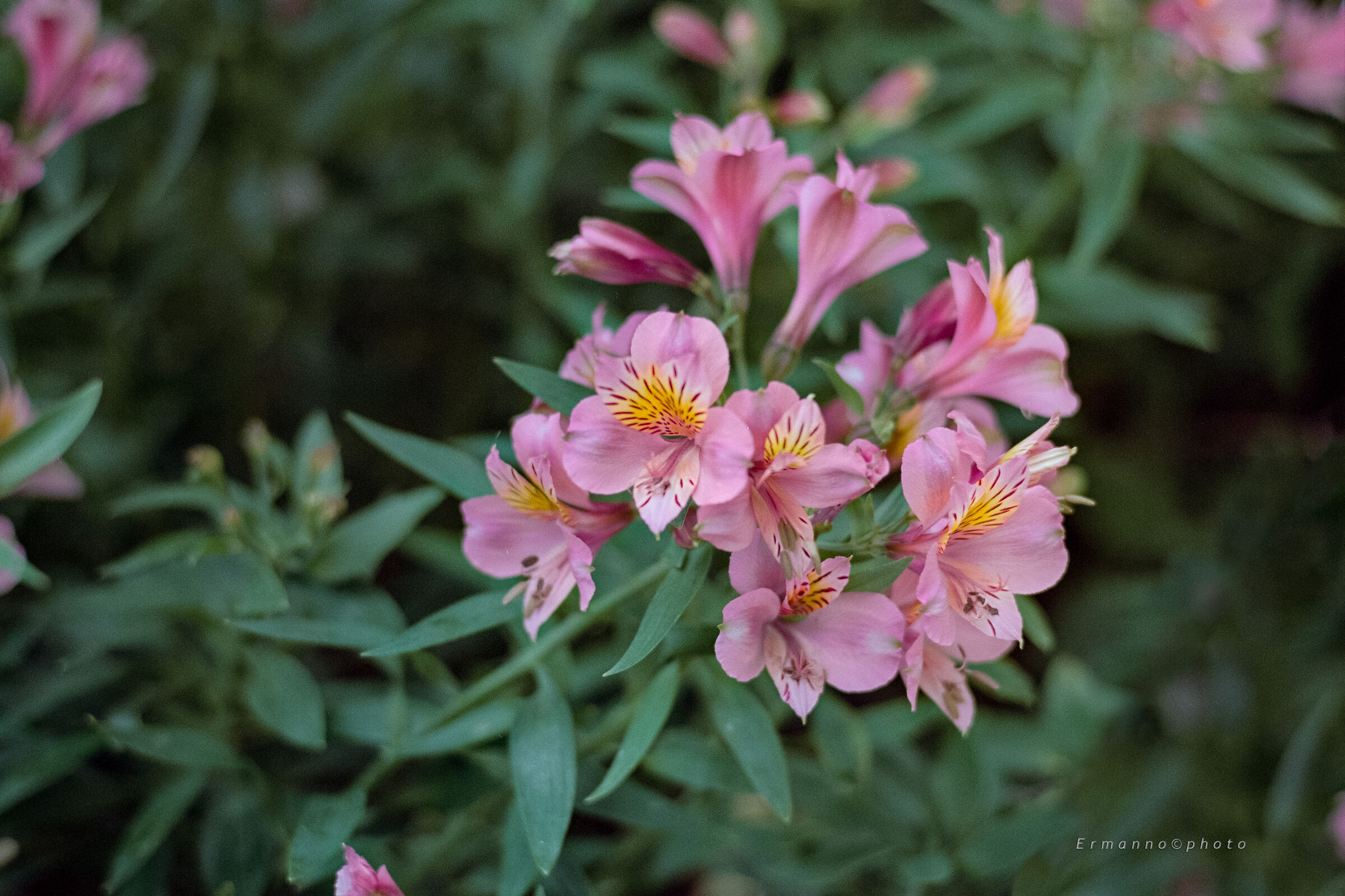 The Color That Takes You ...