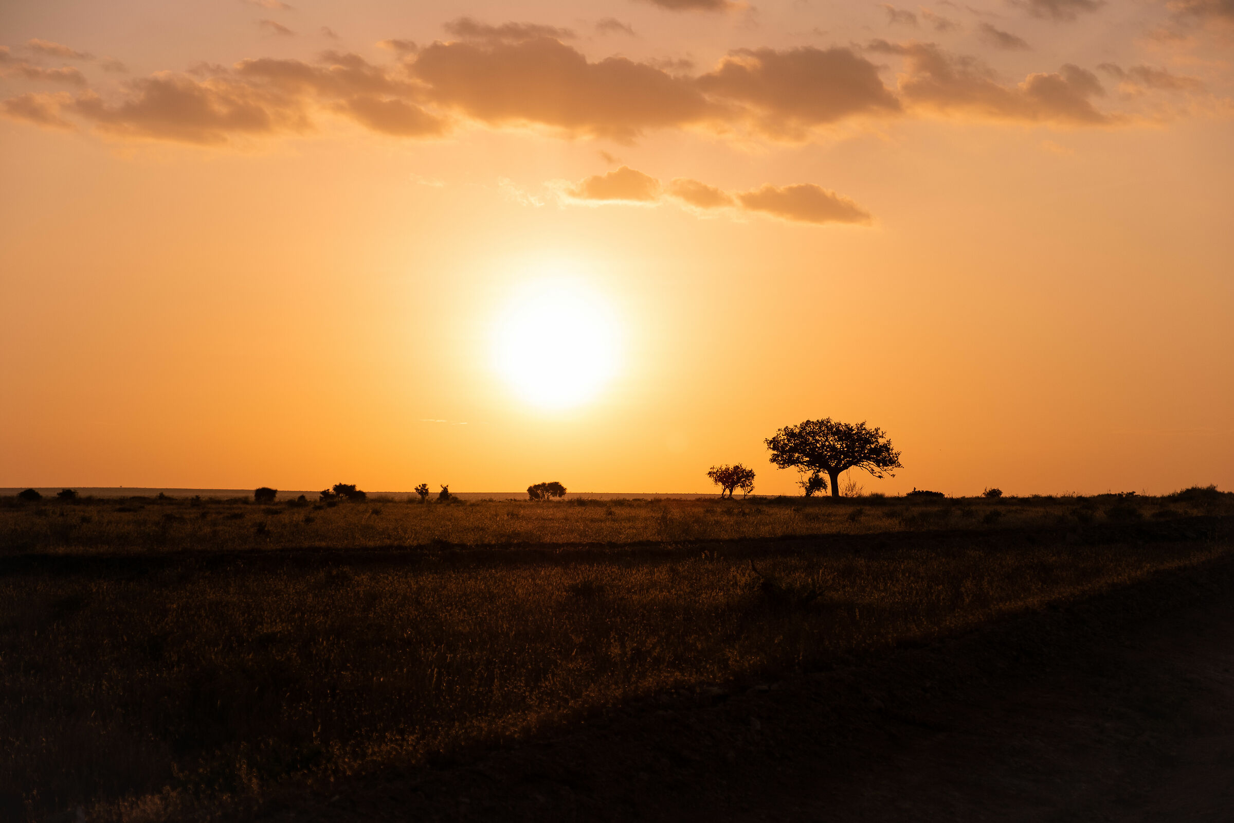 Tramonto sulla savana - Tsavo East Nat. Park