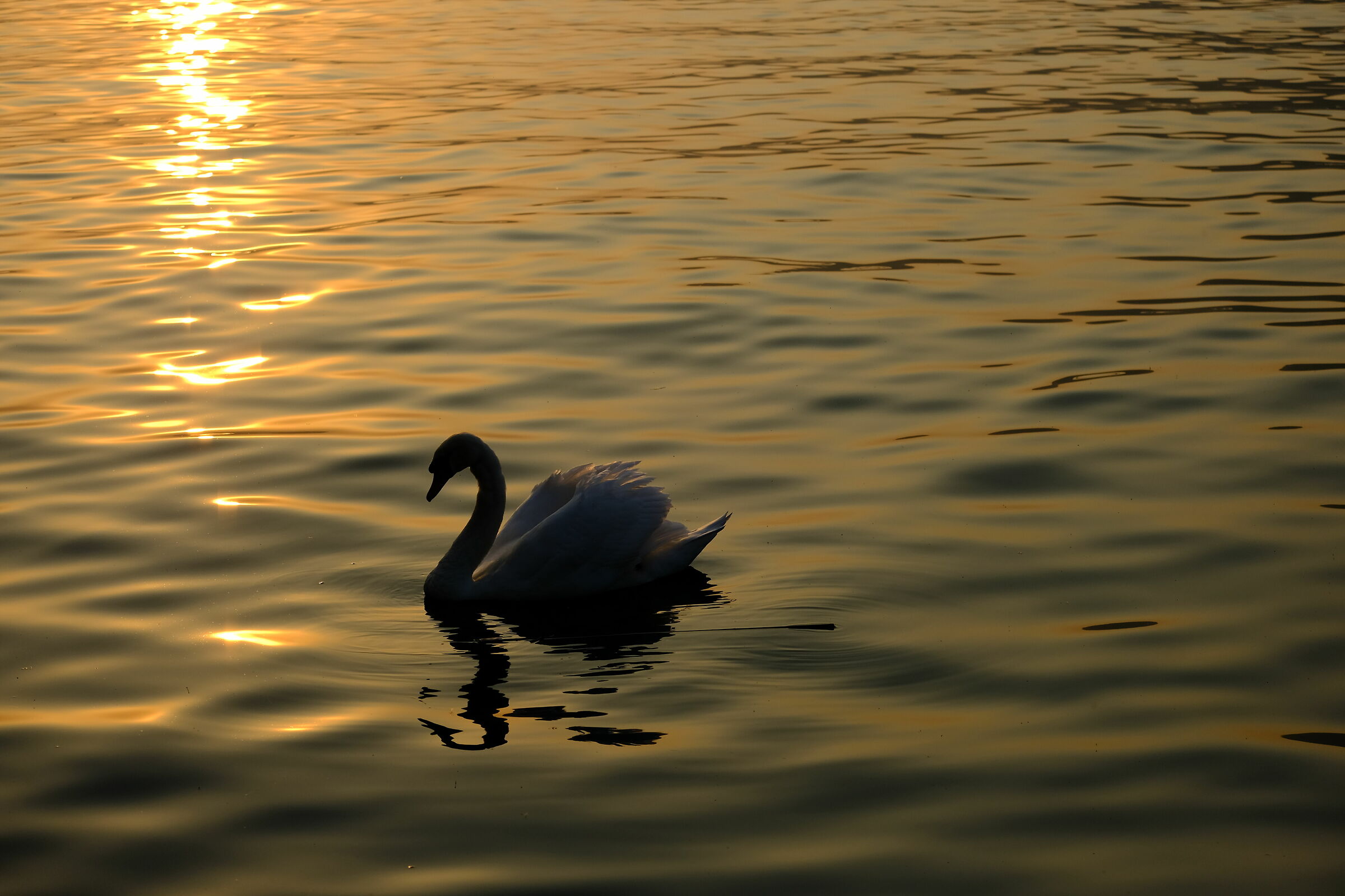 Games of light and shadow - Iseo