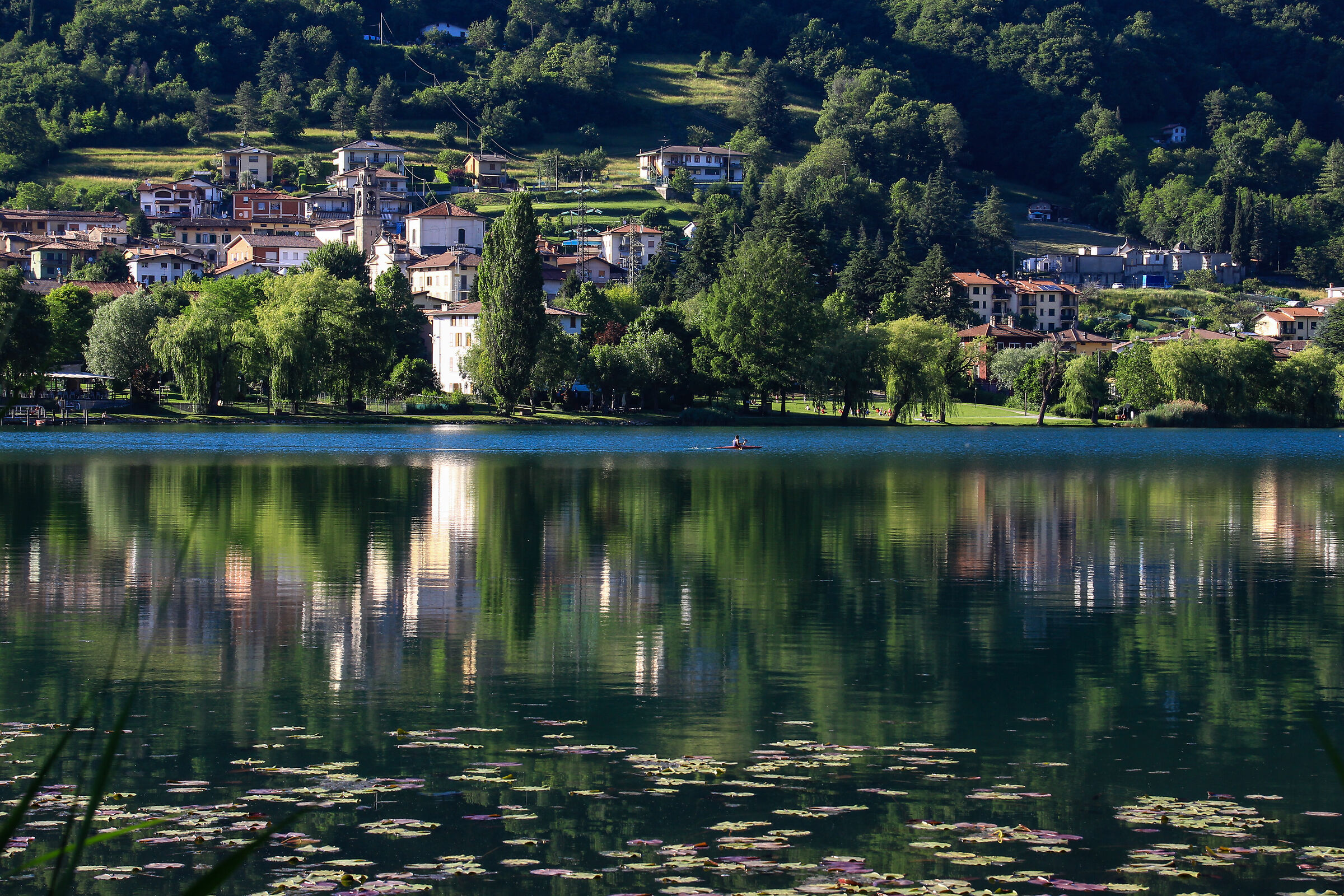 looking for the cool