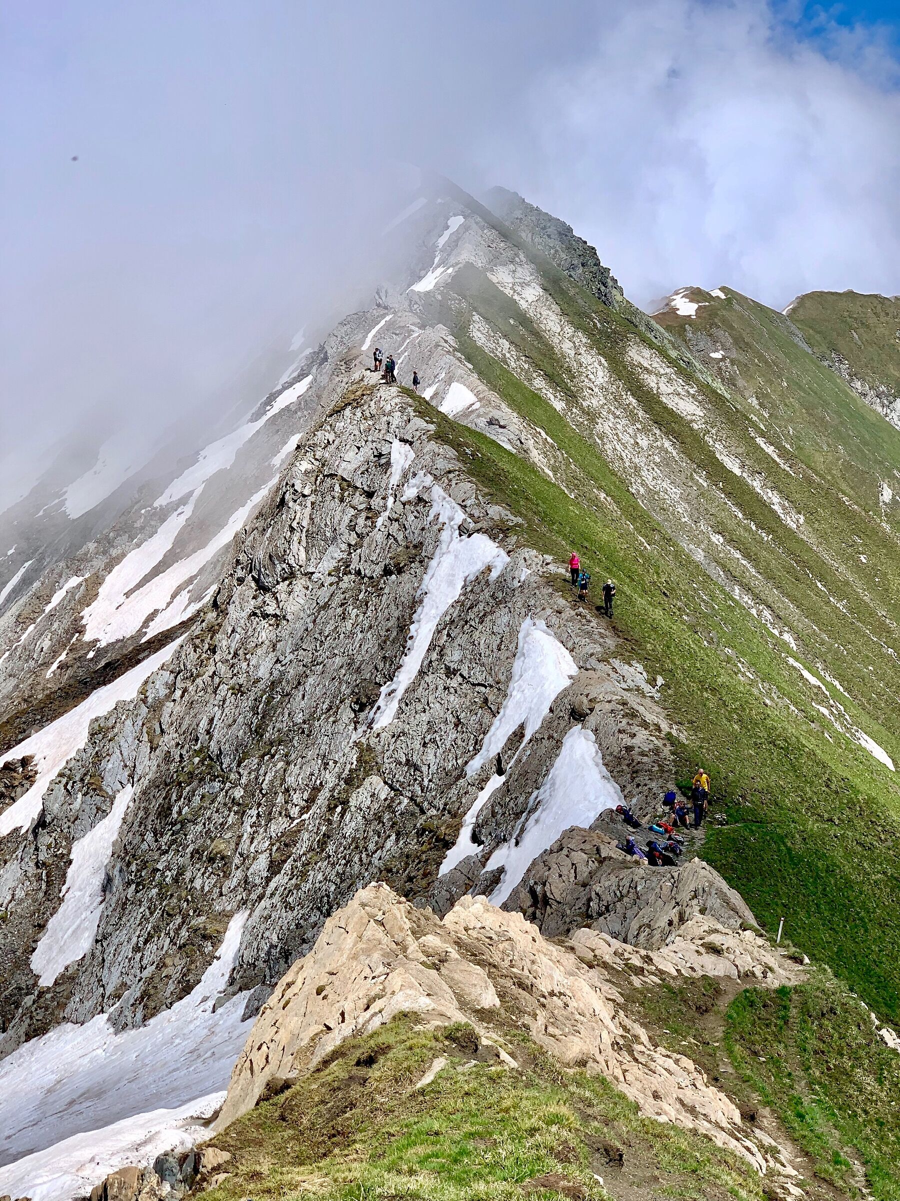 Fenestrelle's pelvis