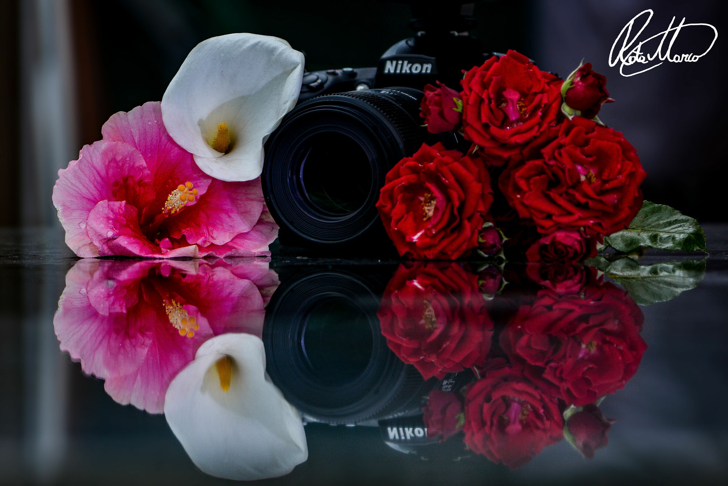 still life reflected