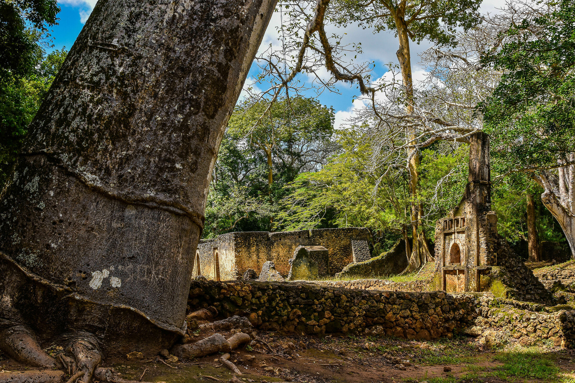 Rovine di Gede, Watamu Kenia