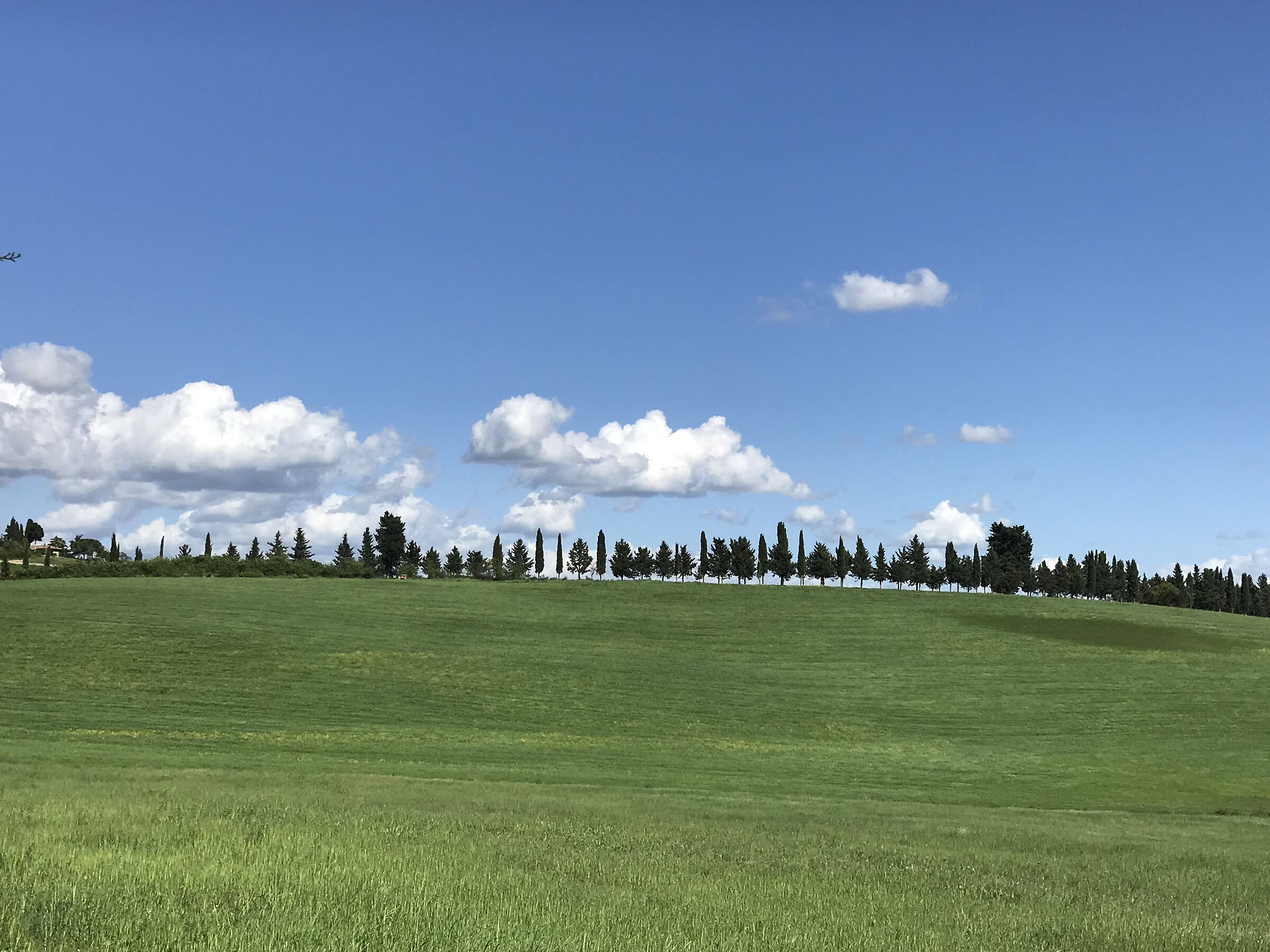 In fila indiana all'orizzonte