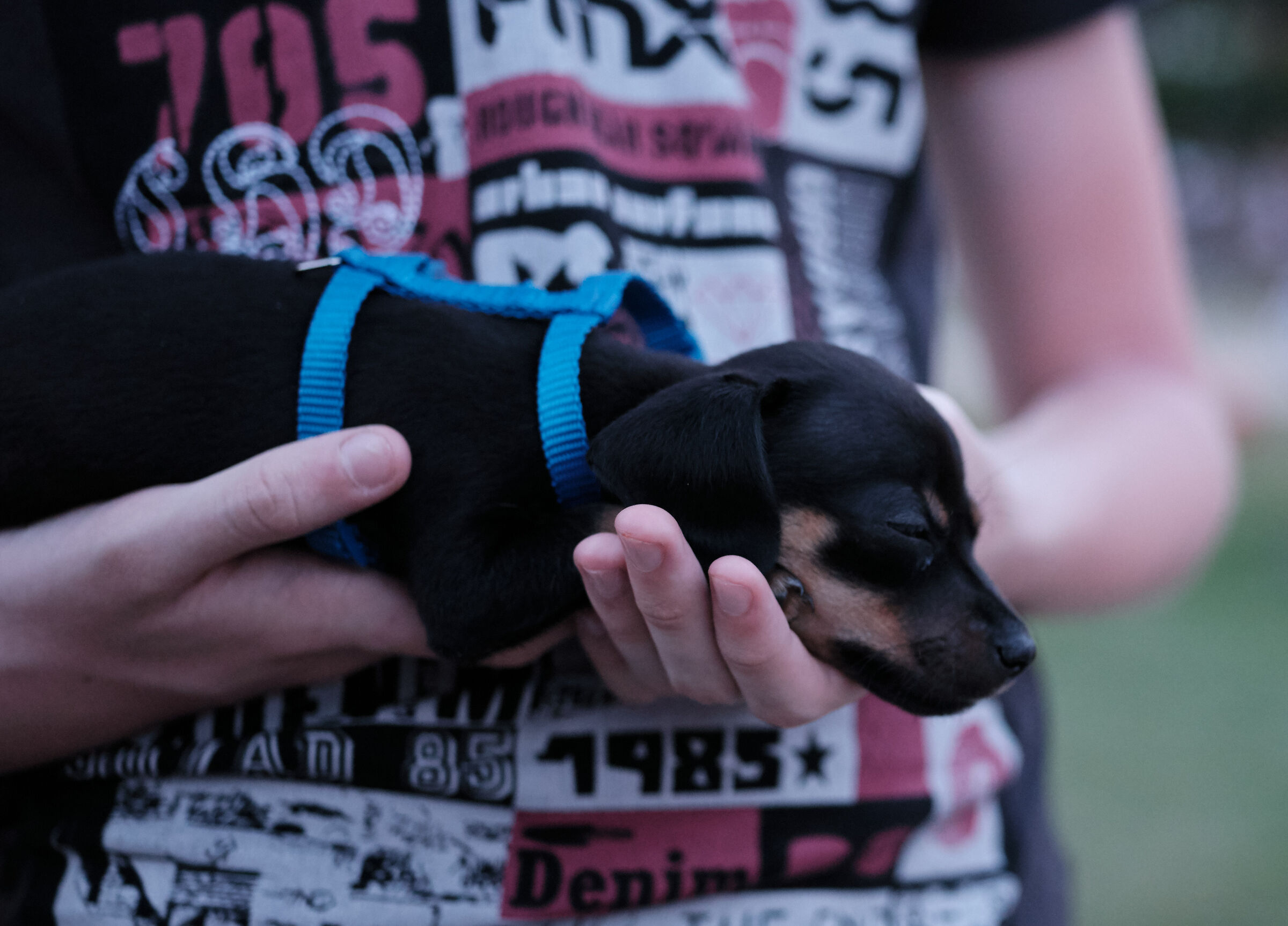 Priscilla tra le mani di Mattia