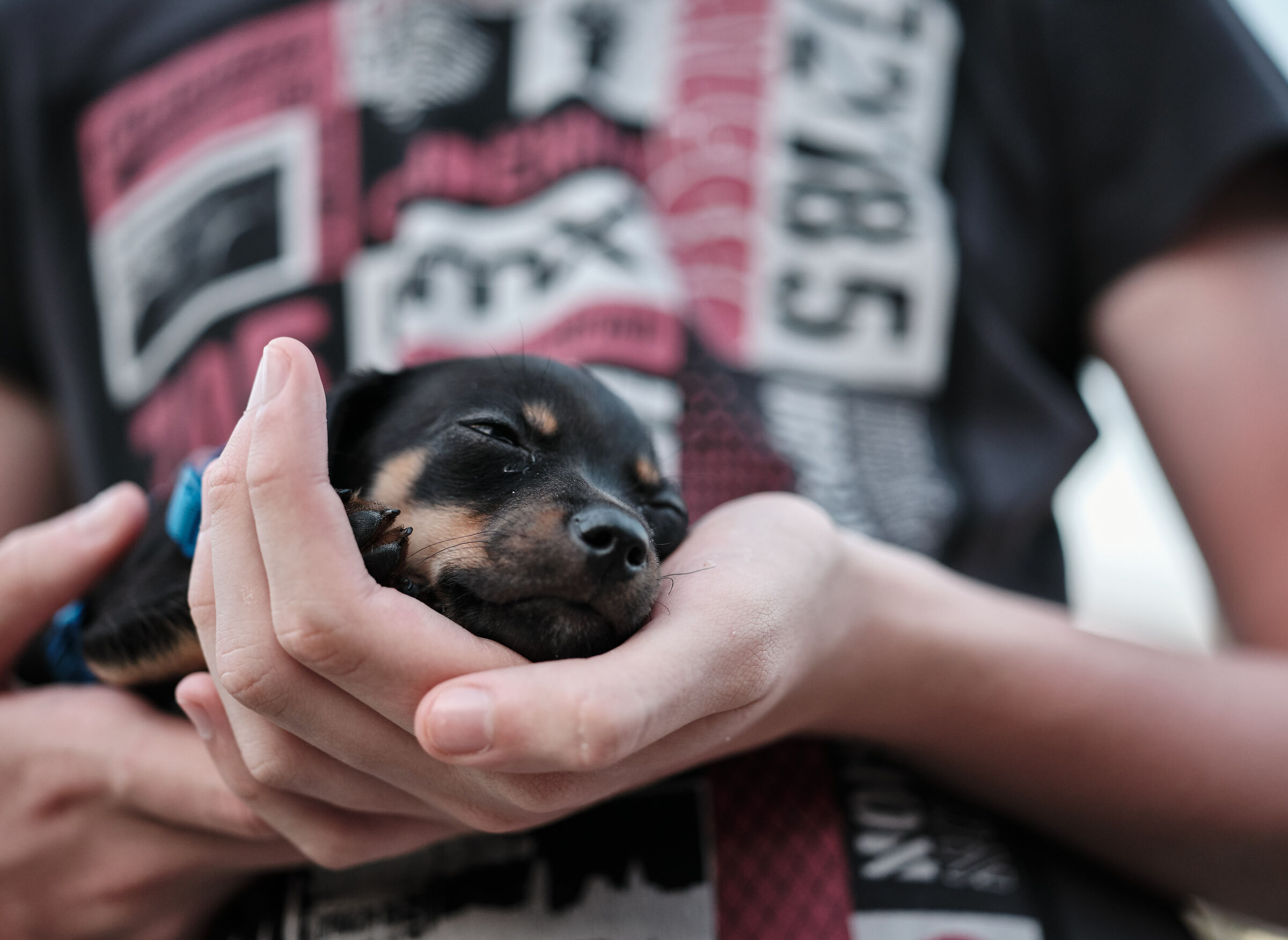 Priscilla, tanta nanna