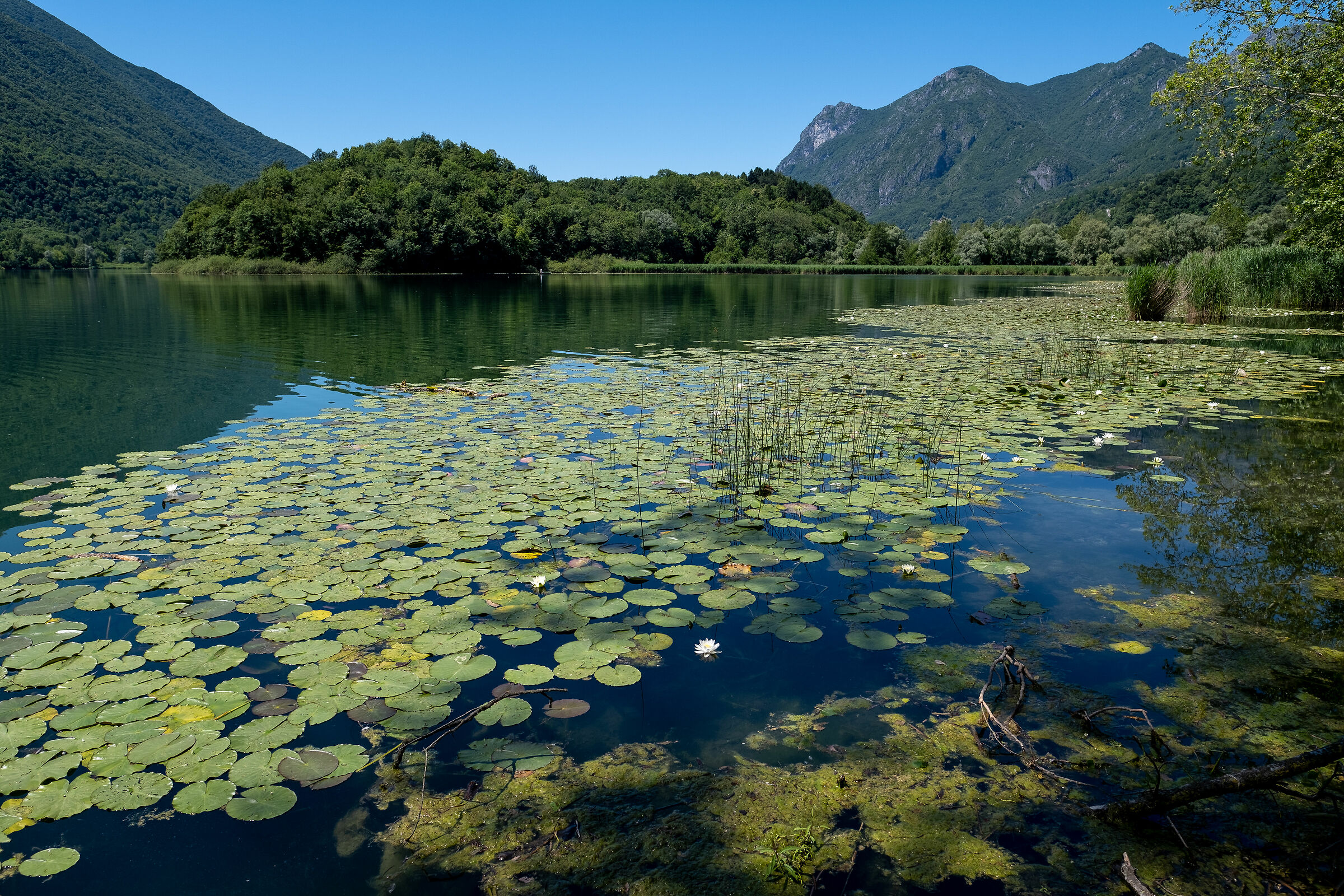 the fantastic lake of Piano towards Porlezza