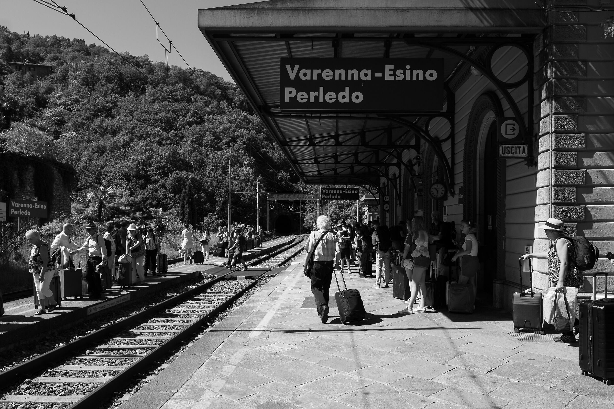 tourists on the attack