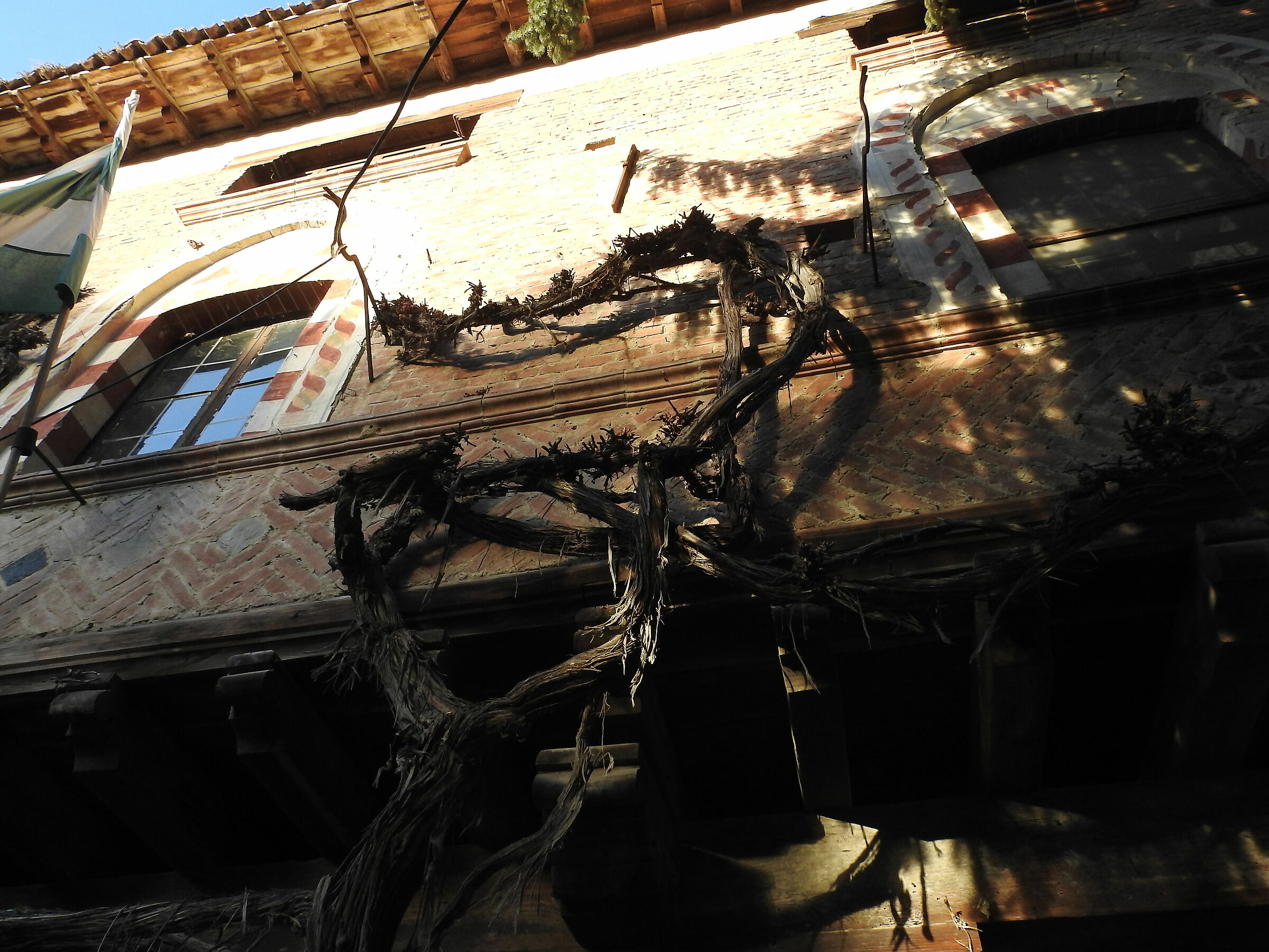 Untitled Photo