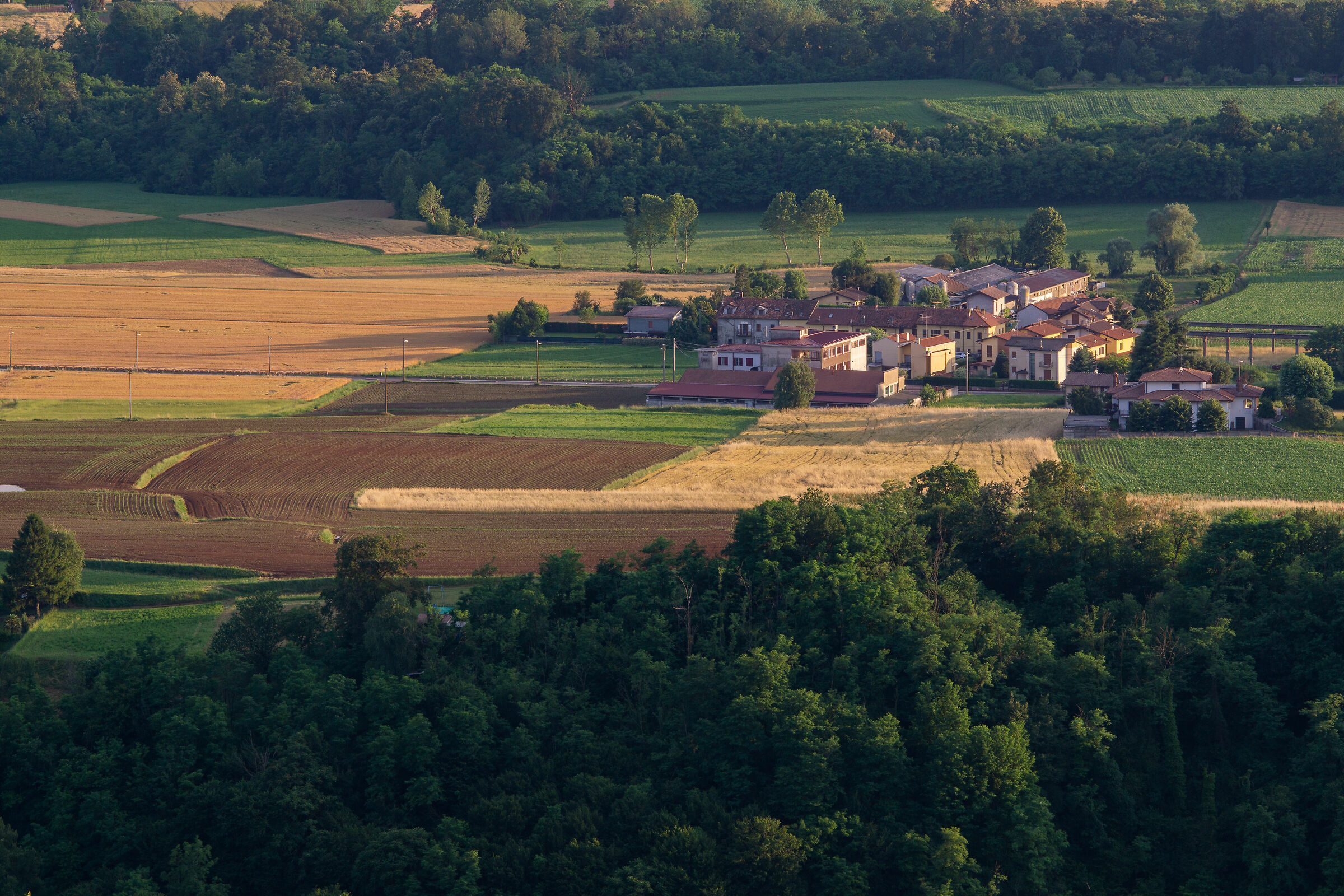colori di inizio estate