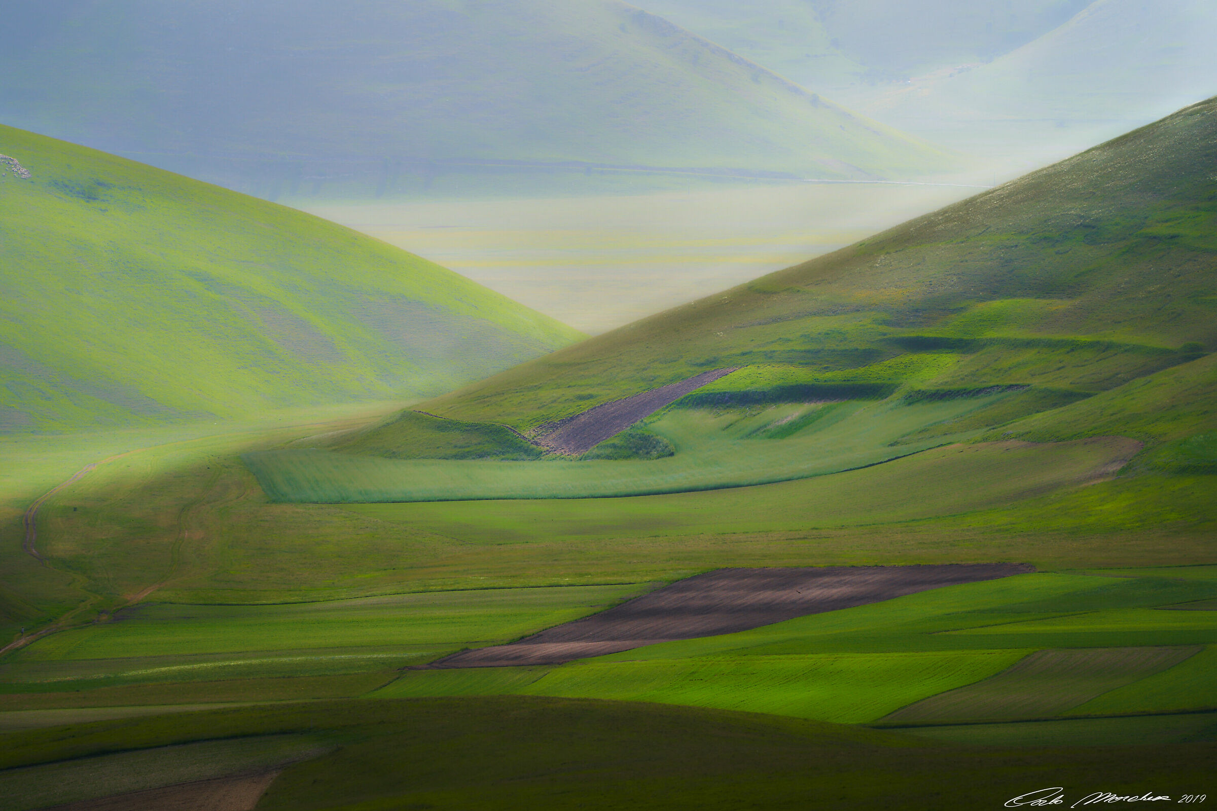 Waiting for the colors of Castelluccio