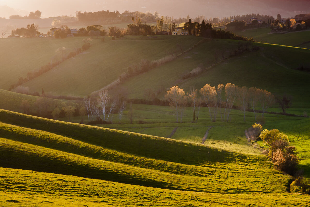 Sulla via per Orciano ...