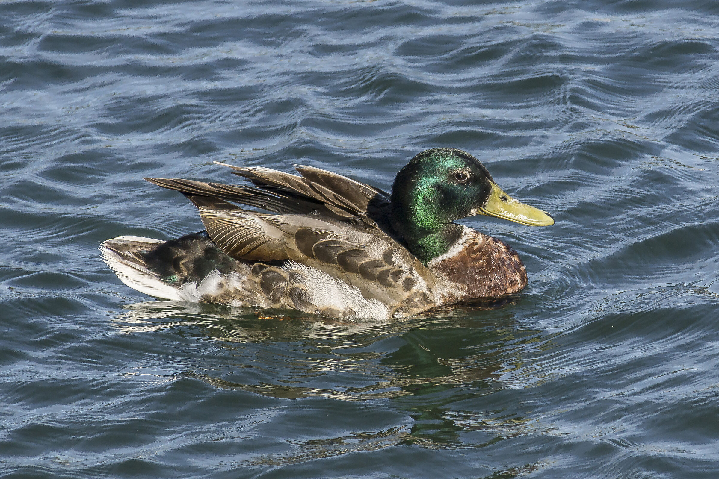 Sunday, June 23, 2019, 17:54:56