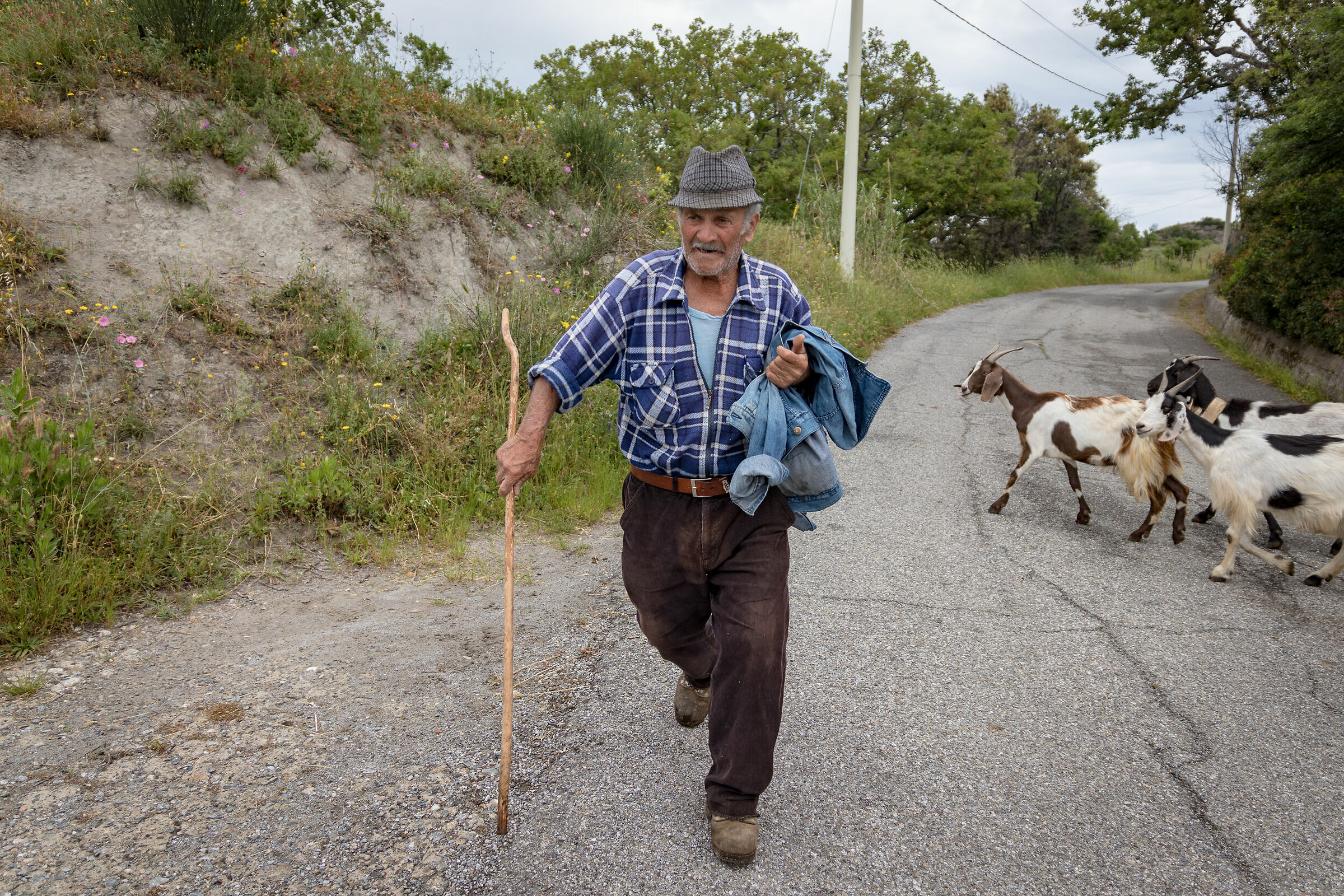The Shepherd