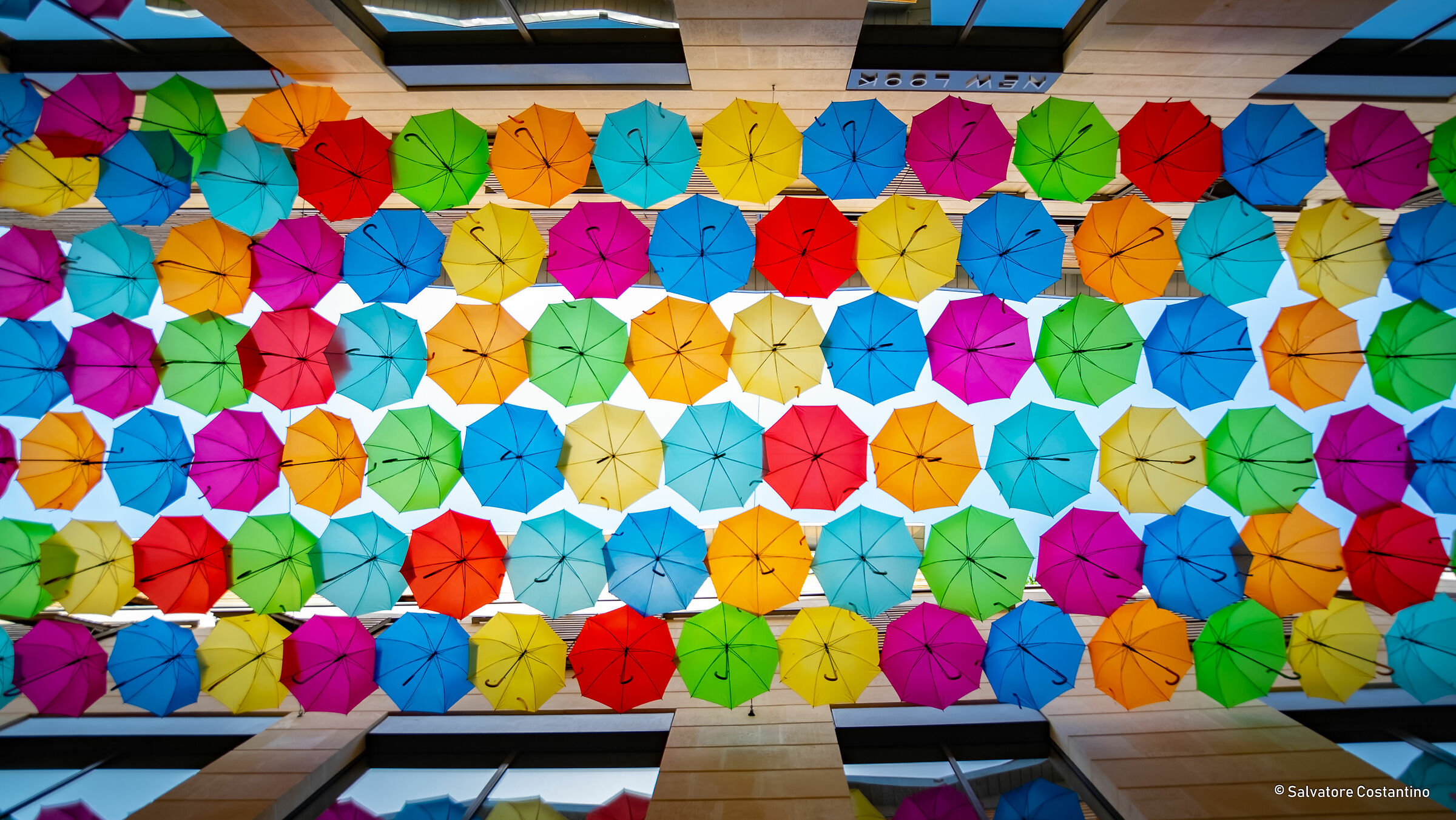 Promenande Sainte Catherine of Bordeaux