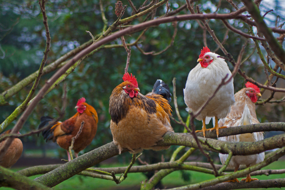 Try to be natural ...