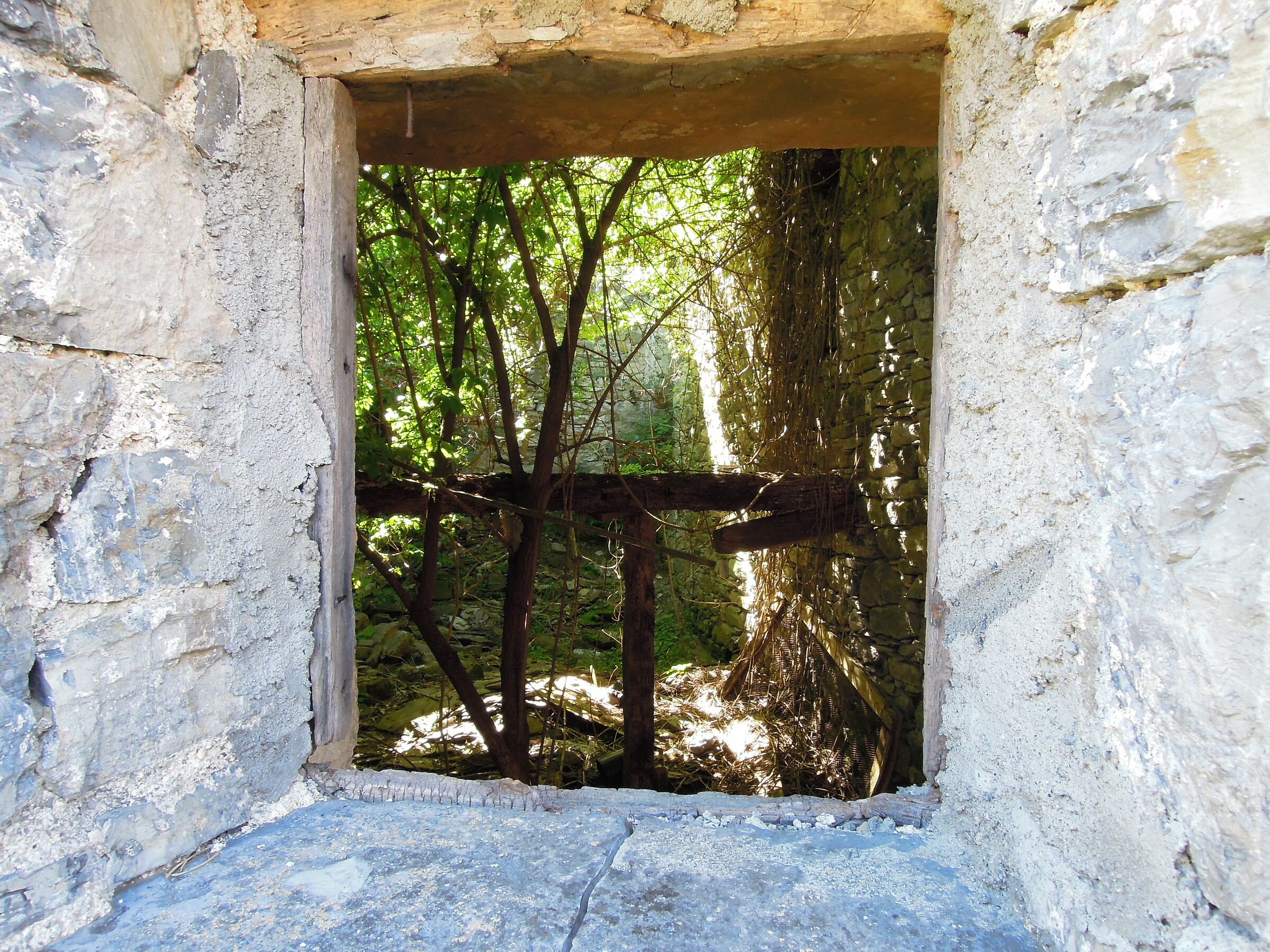 Val d'Aveto: casa abbandonata con boscaglia all'inte...