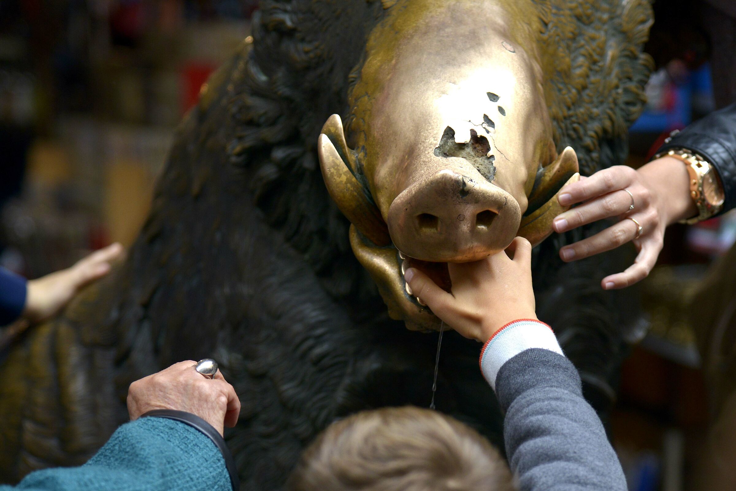 lucky pigincle in Florence