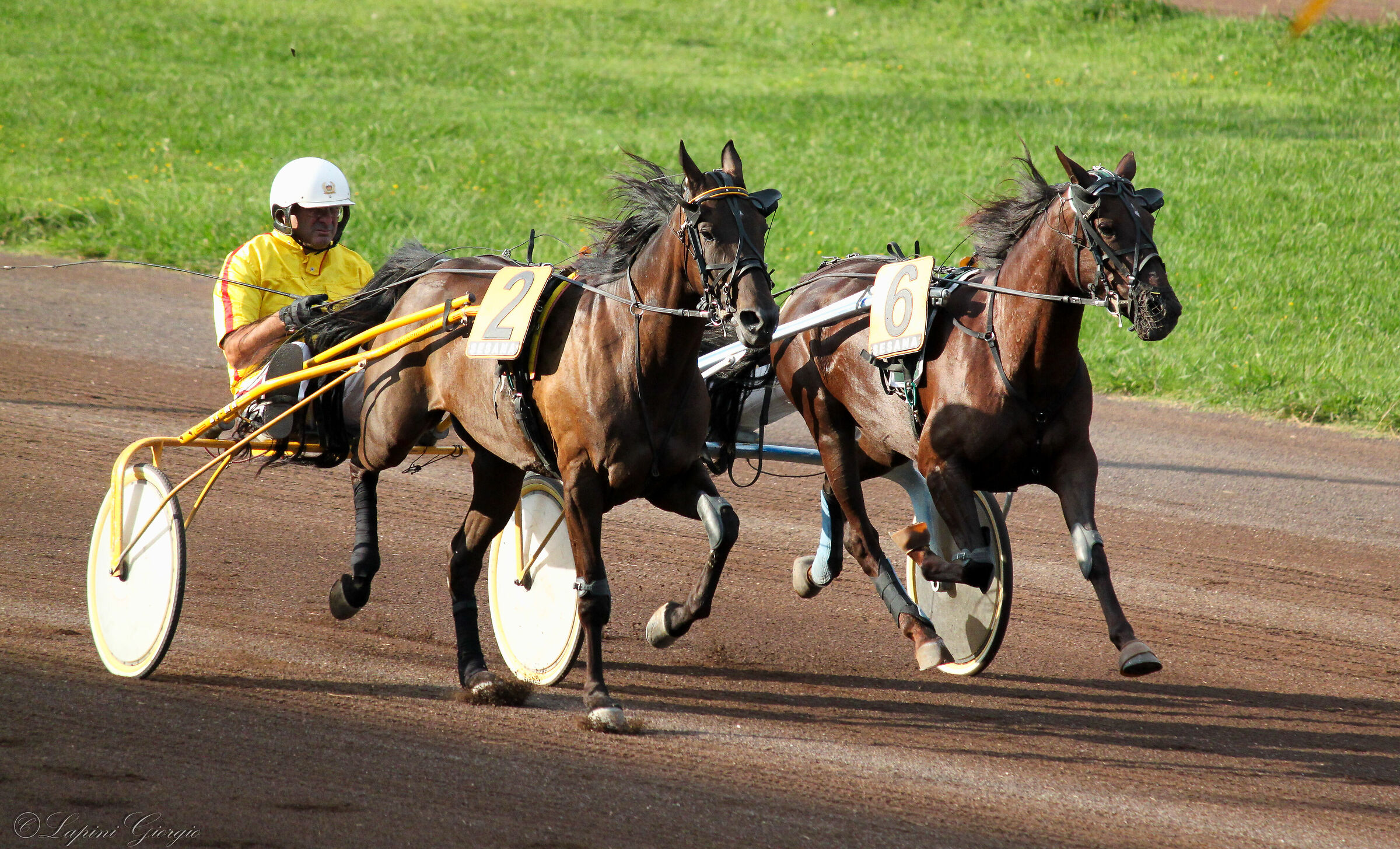 Duello al Sesana di Montecatini