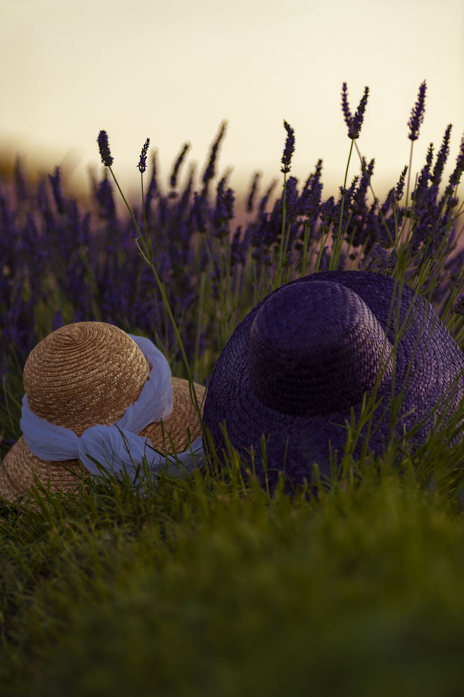 da far girar la testa