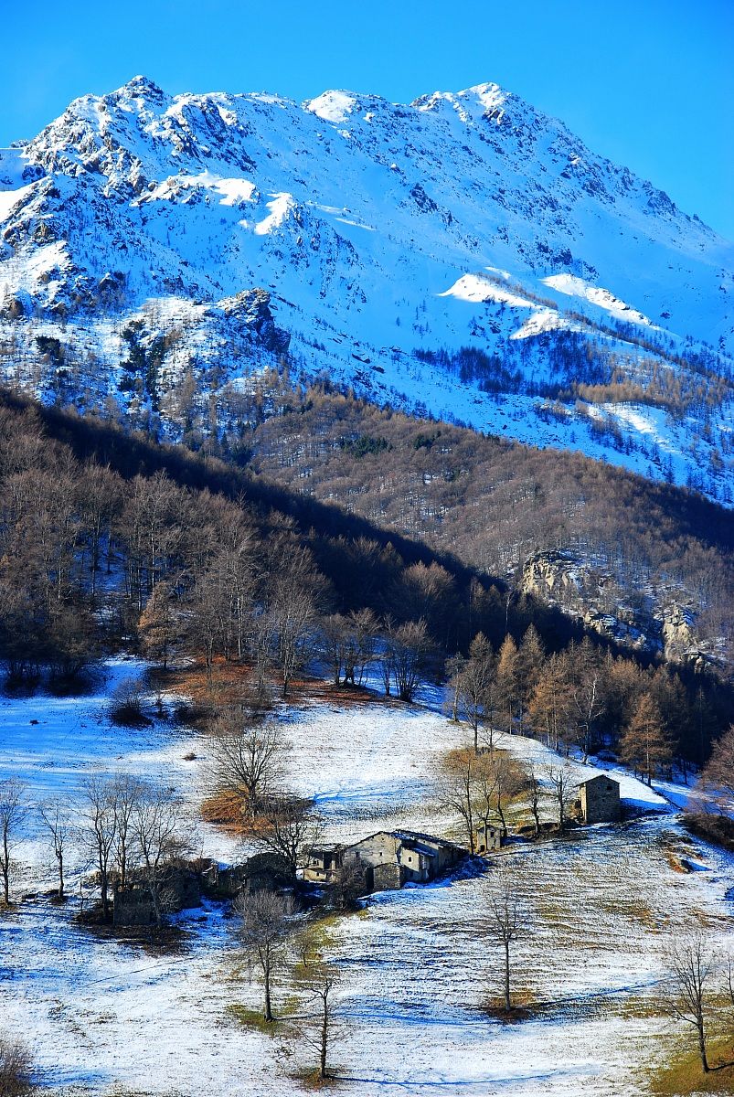 pasture in Sangone 2