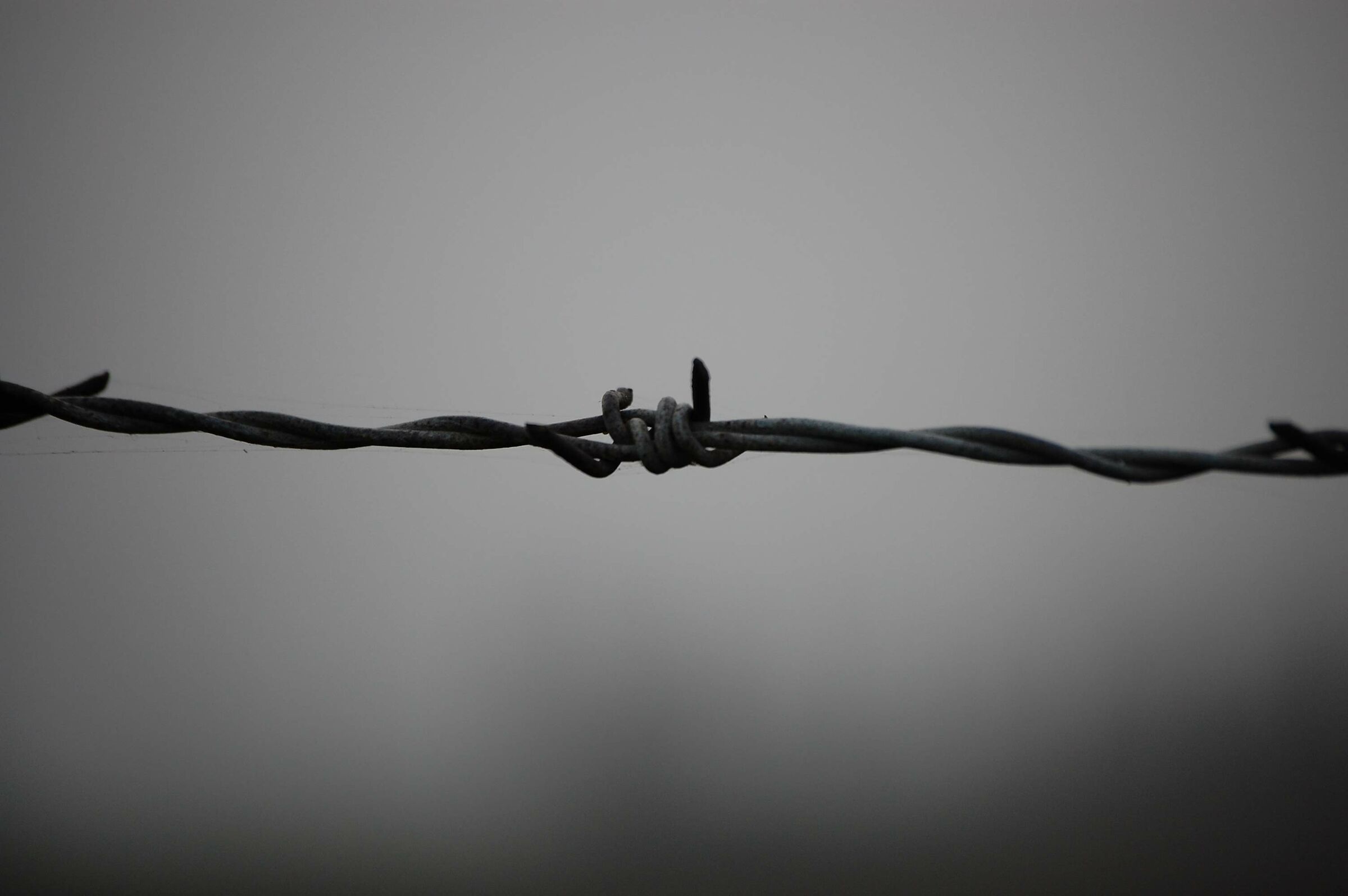 Dangerous Mind, Into