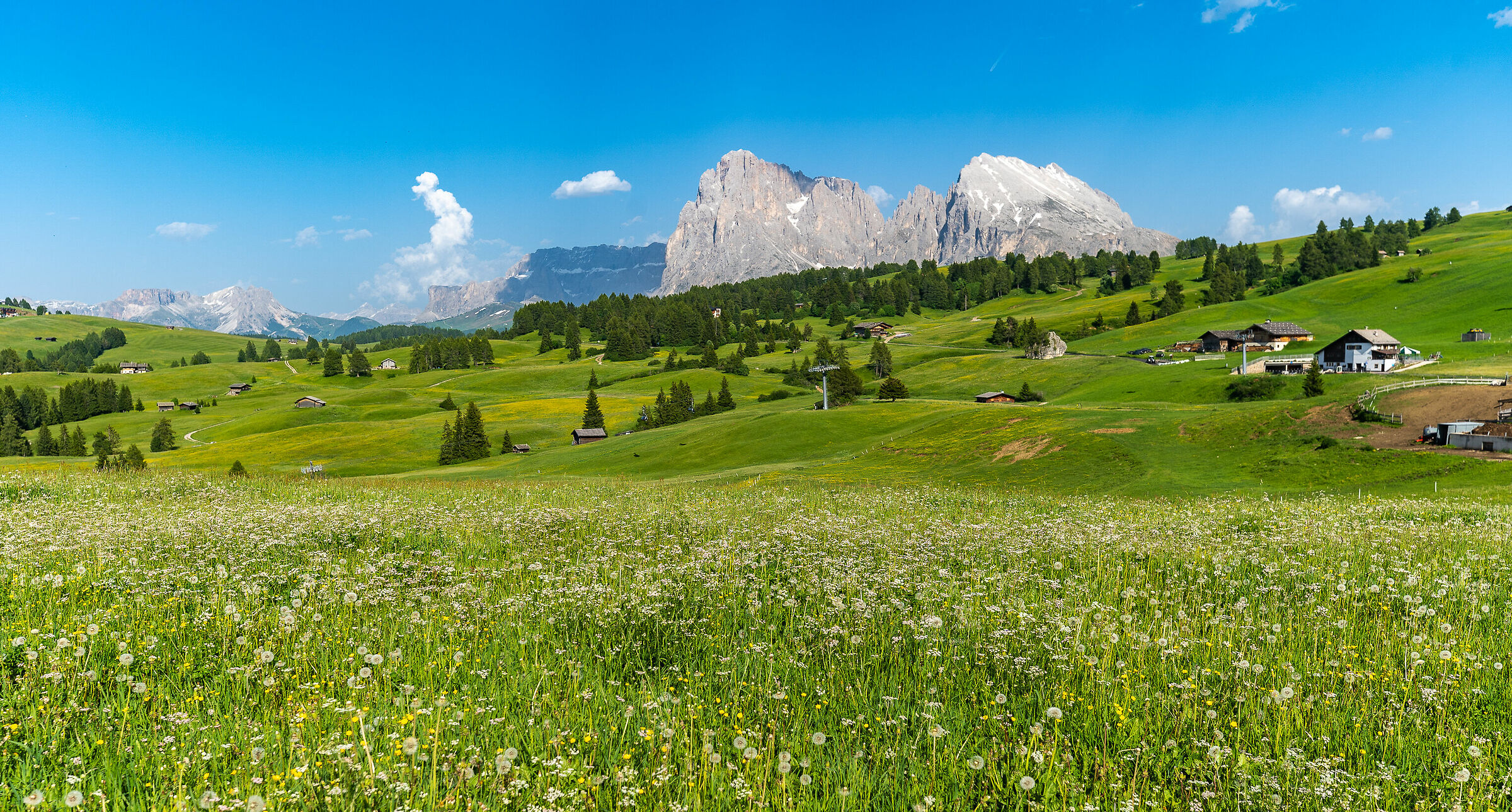 Alpe di Siusi