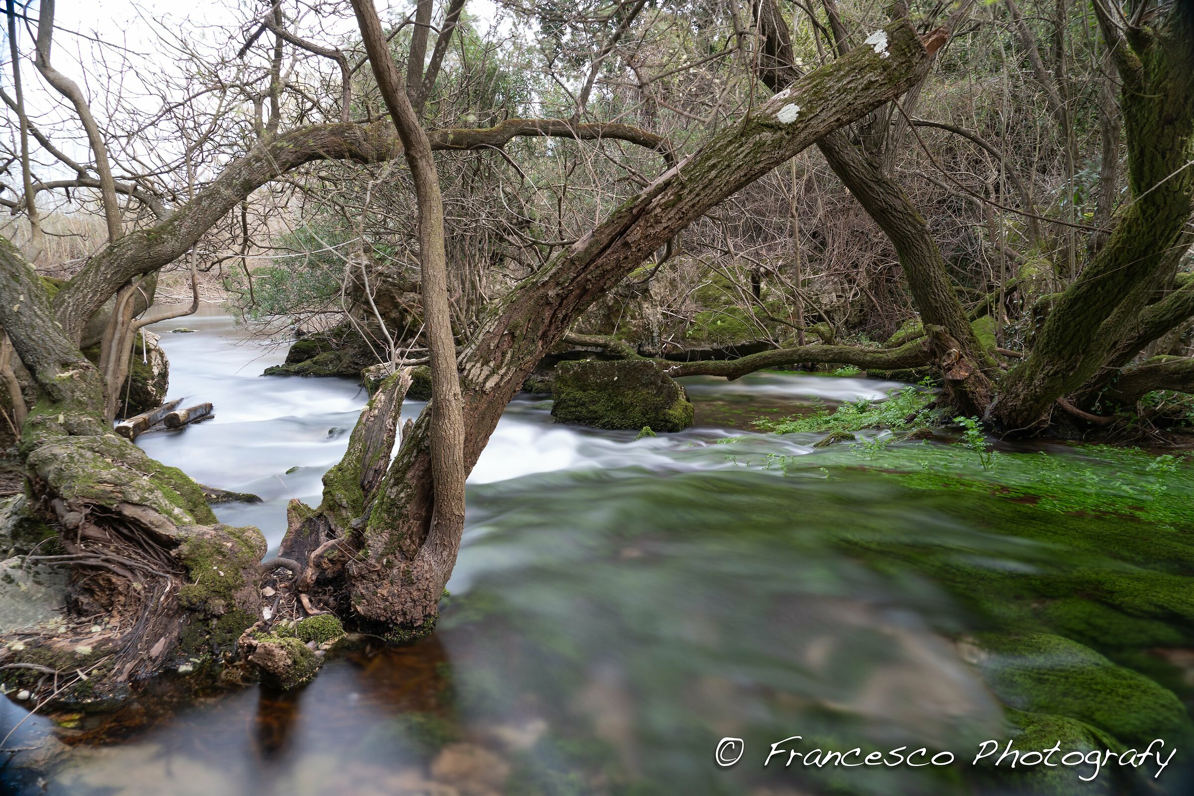 sorgente sugologone 2