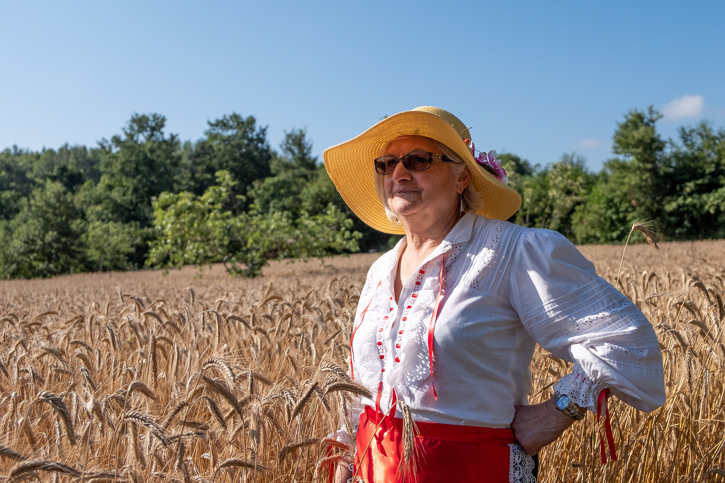 Il tempo della mietitura