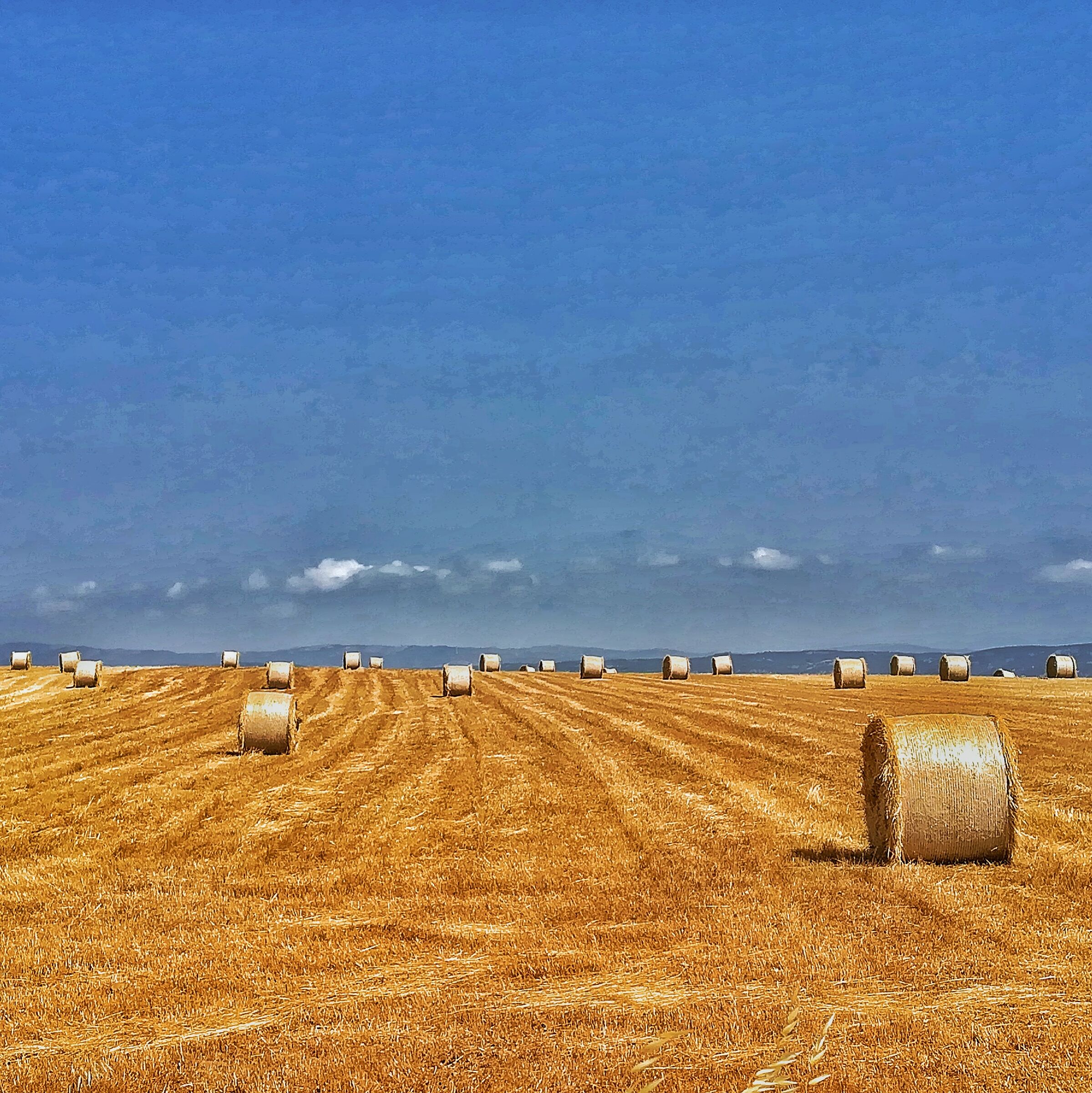 Hay Bales