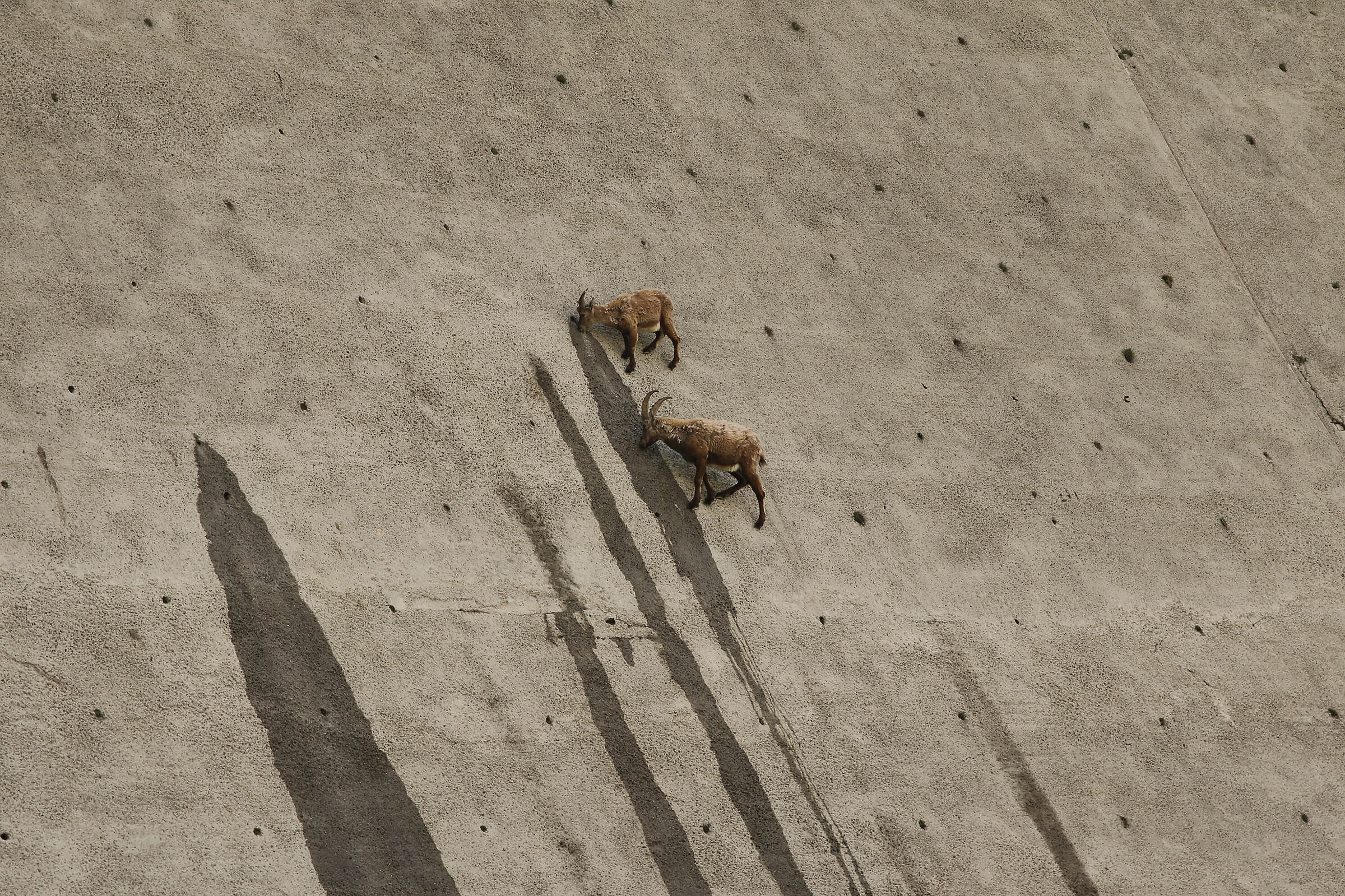 sulla muraglia della diga...