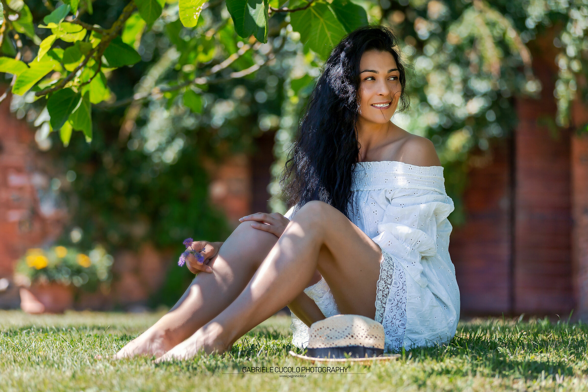 In the shade of the big tree...