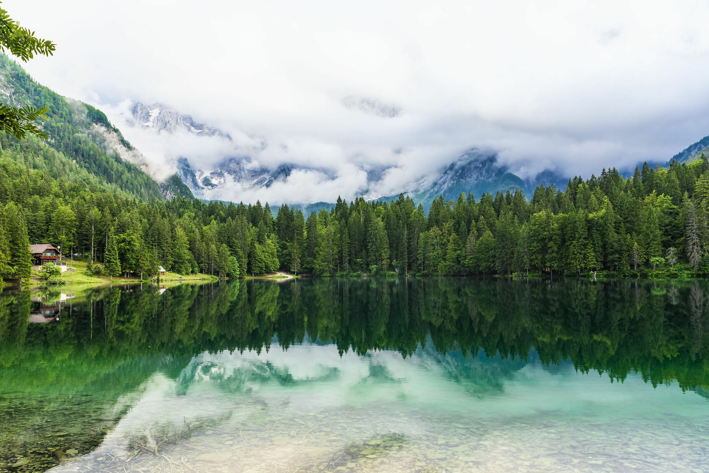 Lago inferiore di Fusine 2019