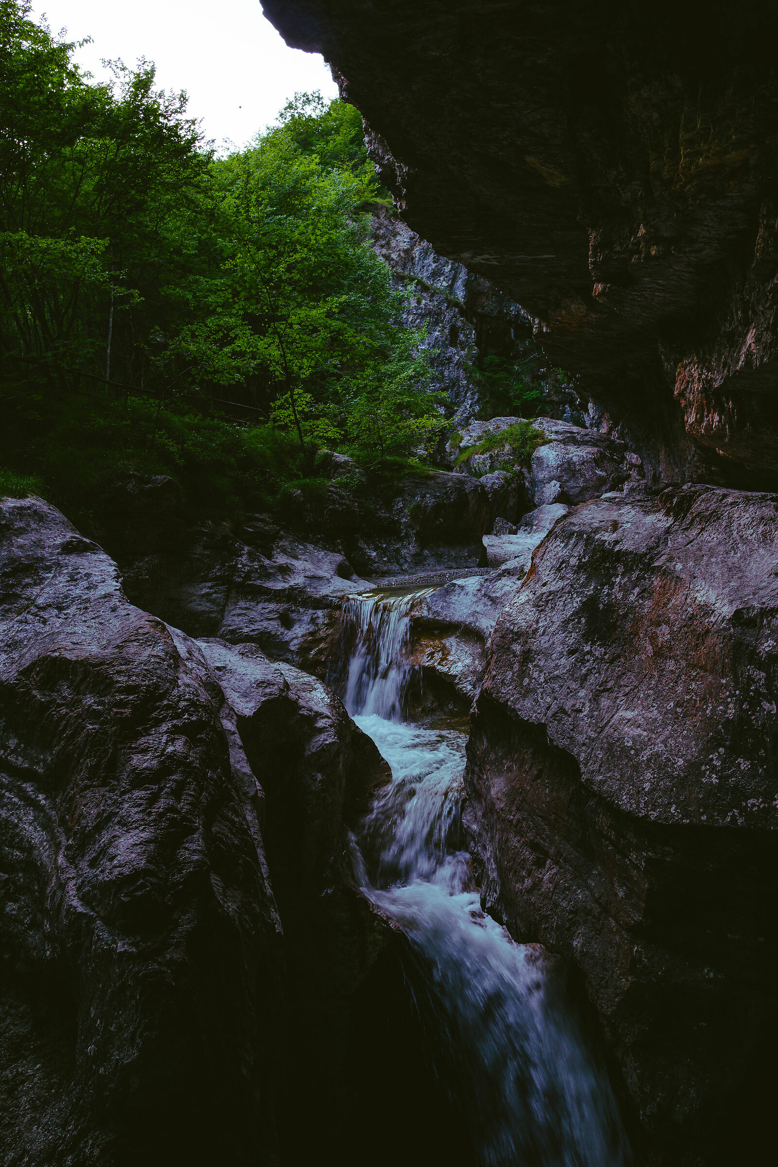 Enchanted by the peace that only nature can give you