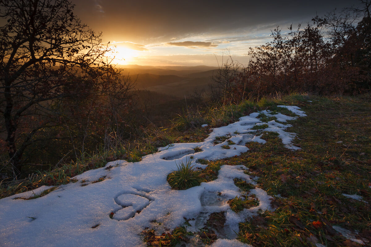 Piccolo cuore senese ...