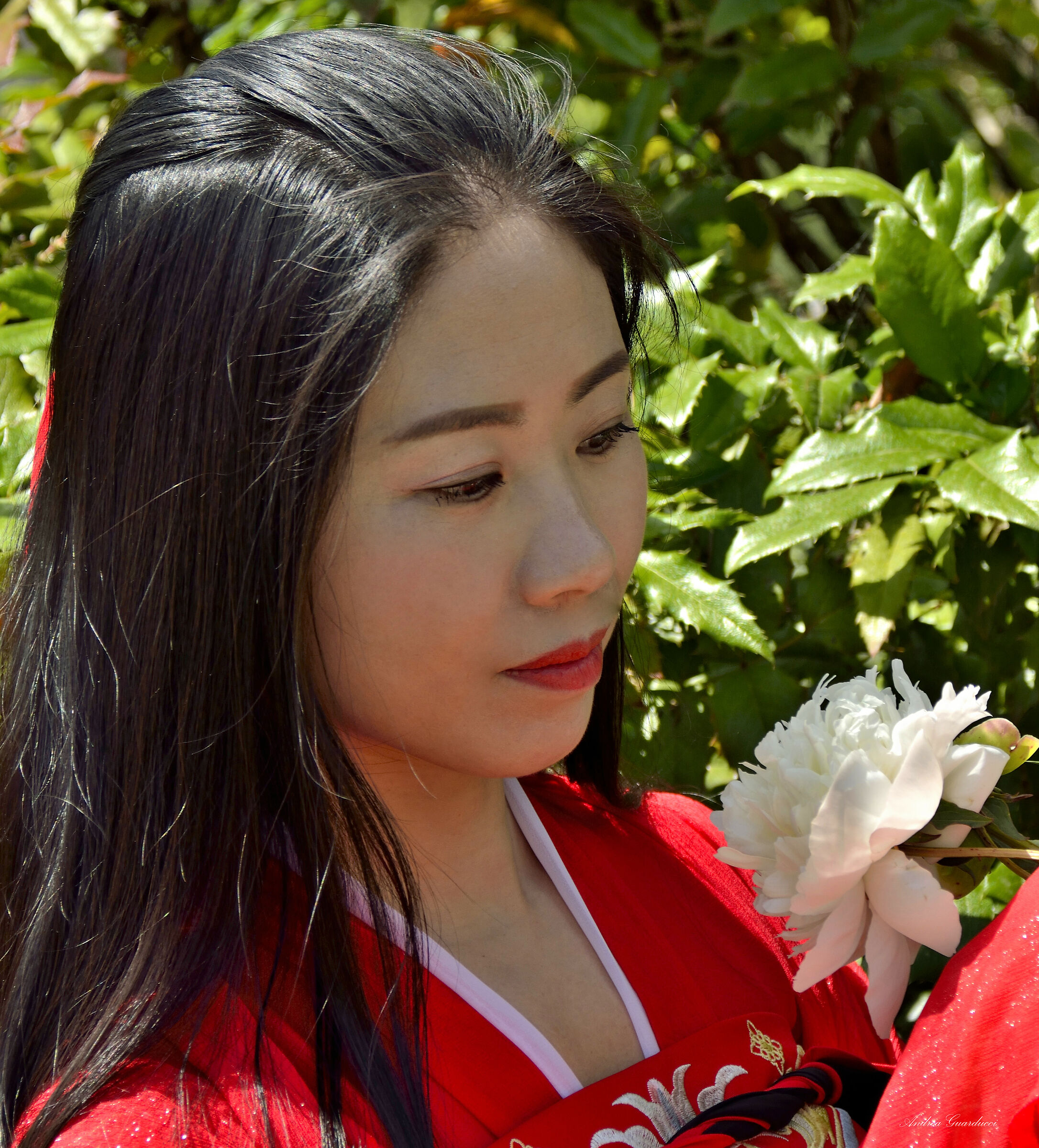 Orientale giardino delle rose