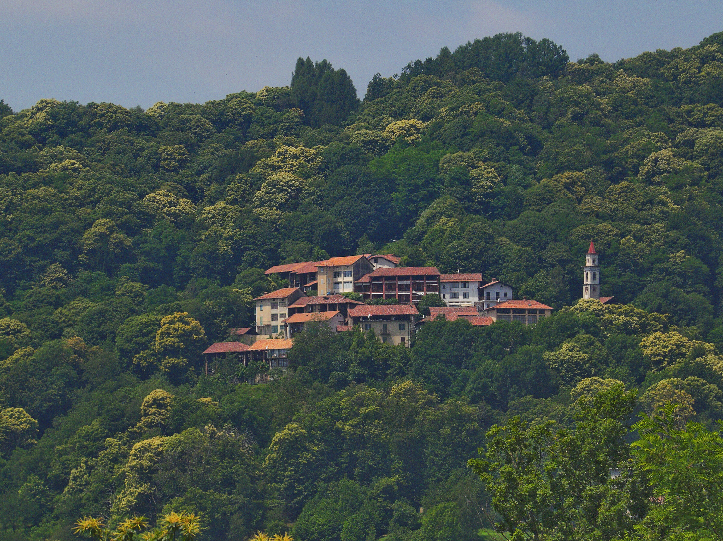 Allera with the red attenuated