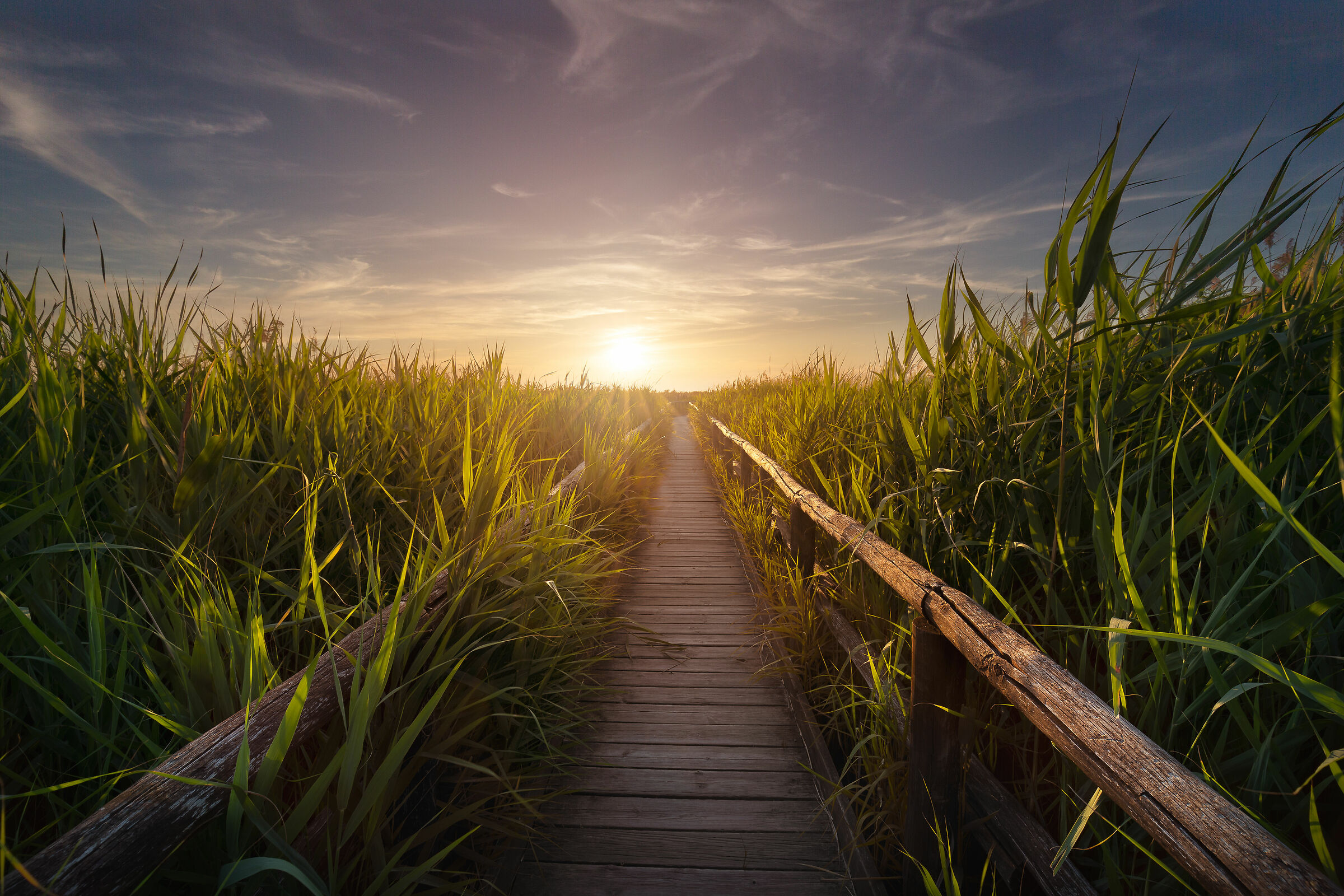 Sunset at the oassis