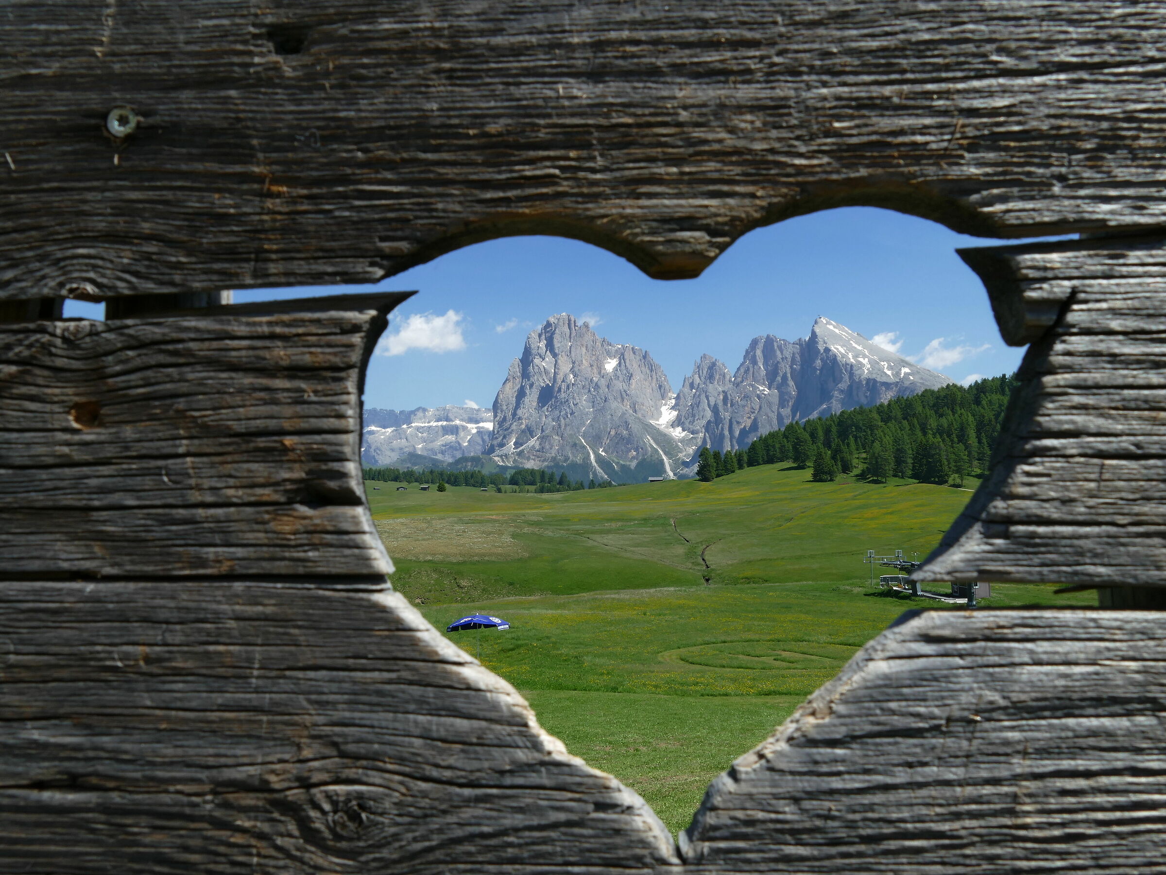 Meraviglia della natura