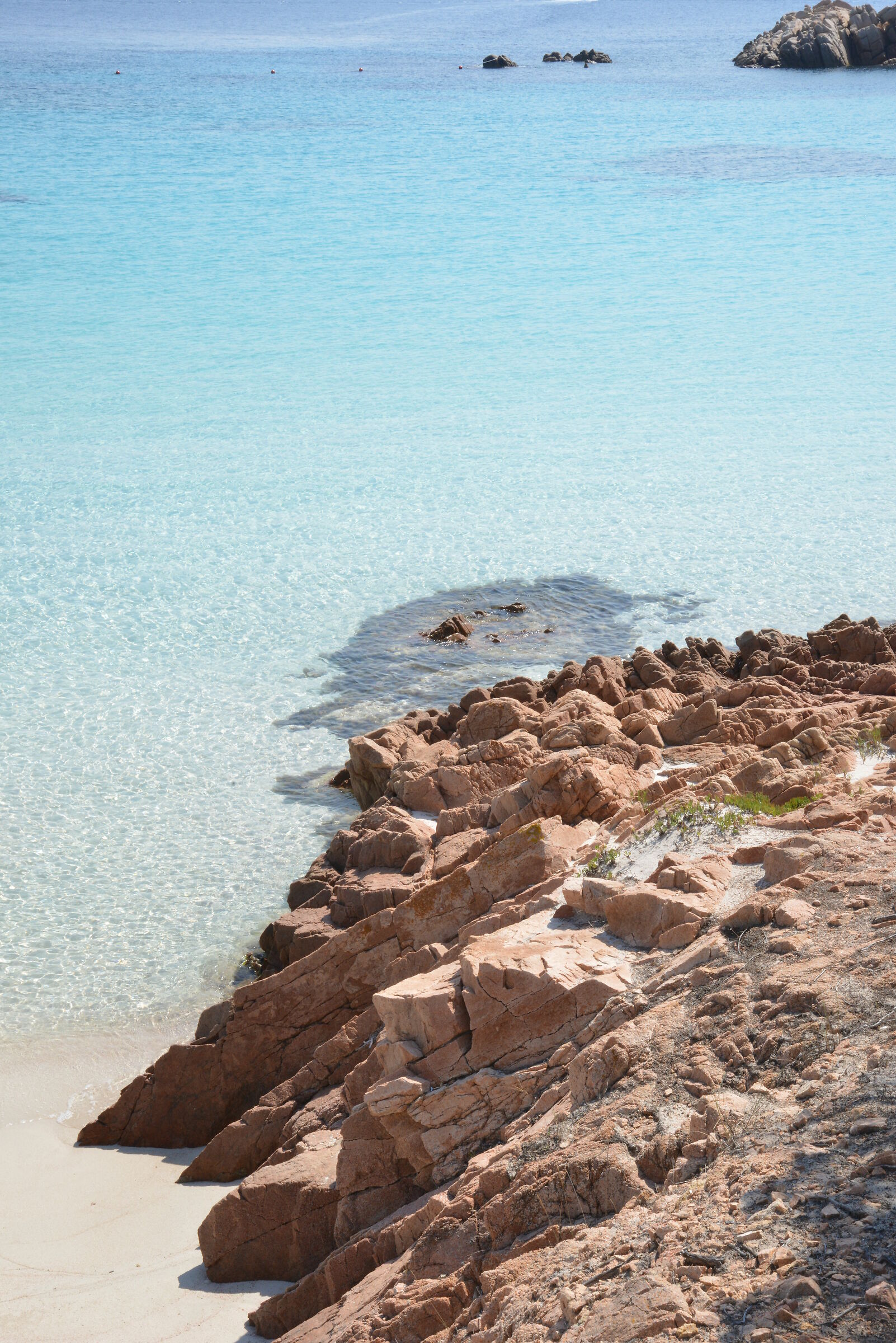 Budelli Island Pink Beach 1