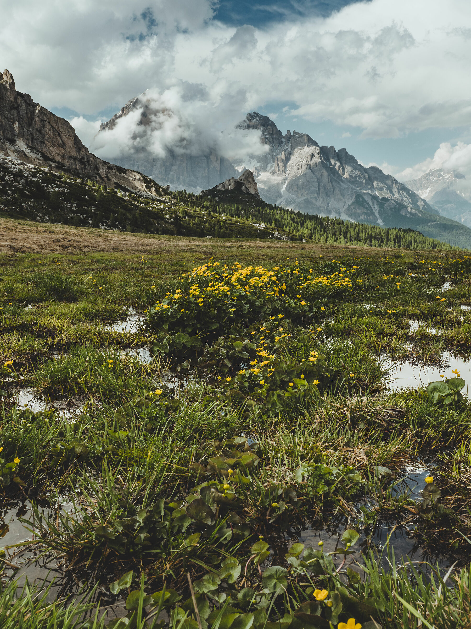 Un punto di vista diverso del passo Giau